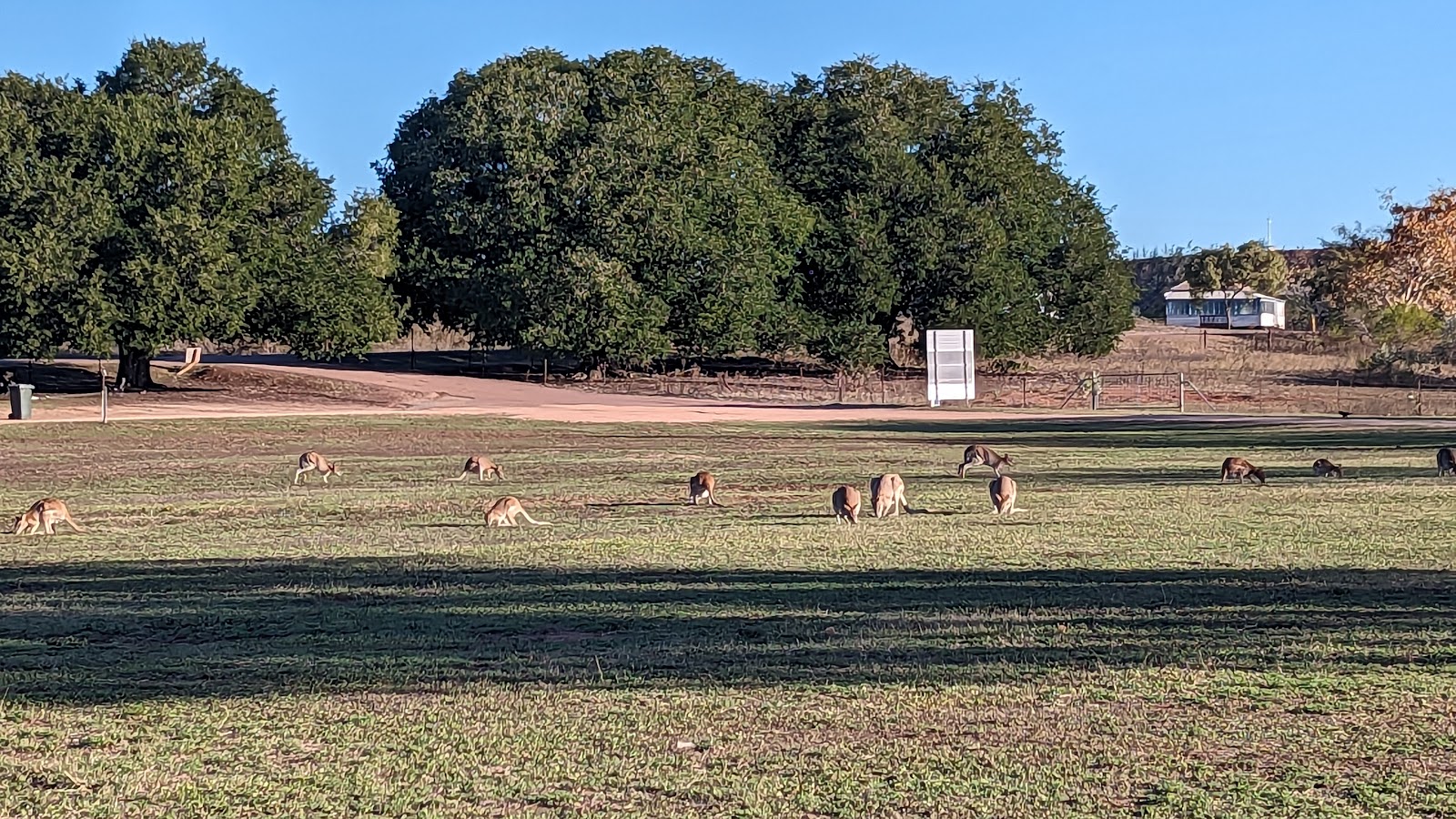 Ravenswood Showground 2