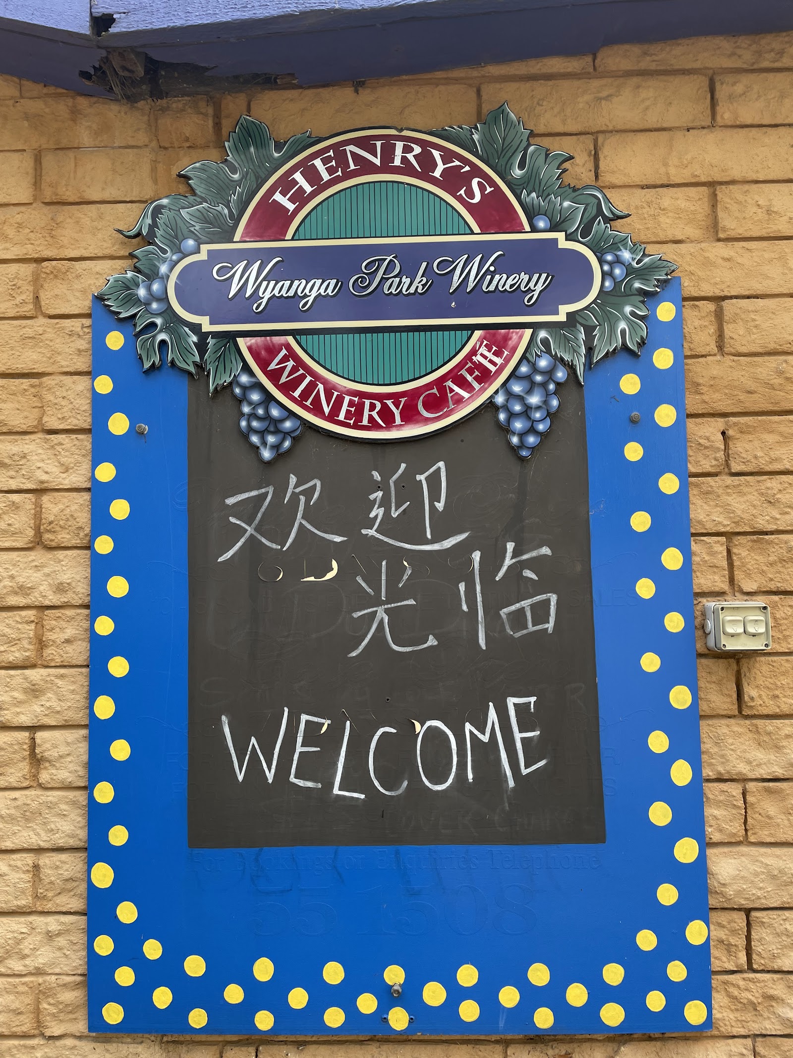 Wyanga Park Winery 2