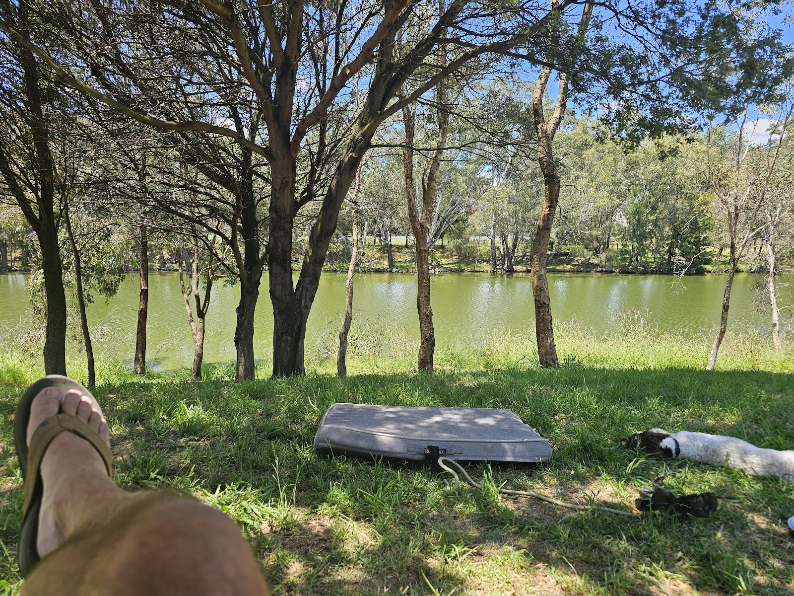 Morleys Creek 10