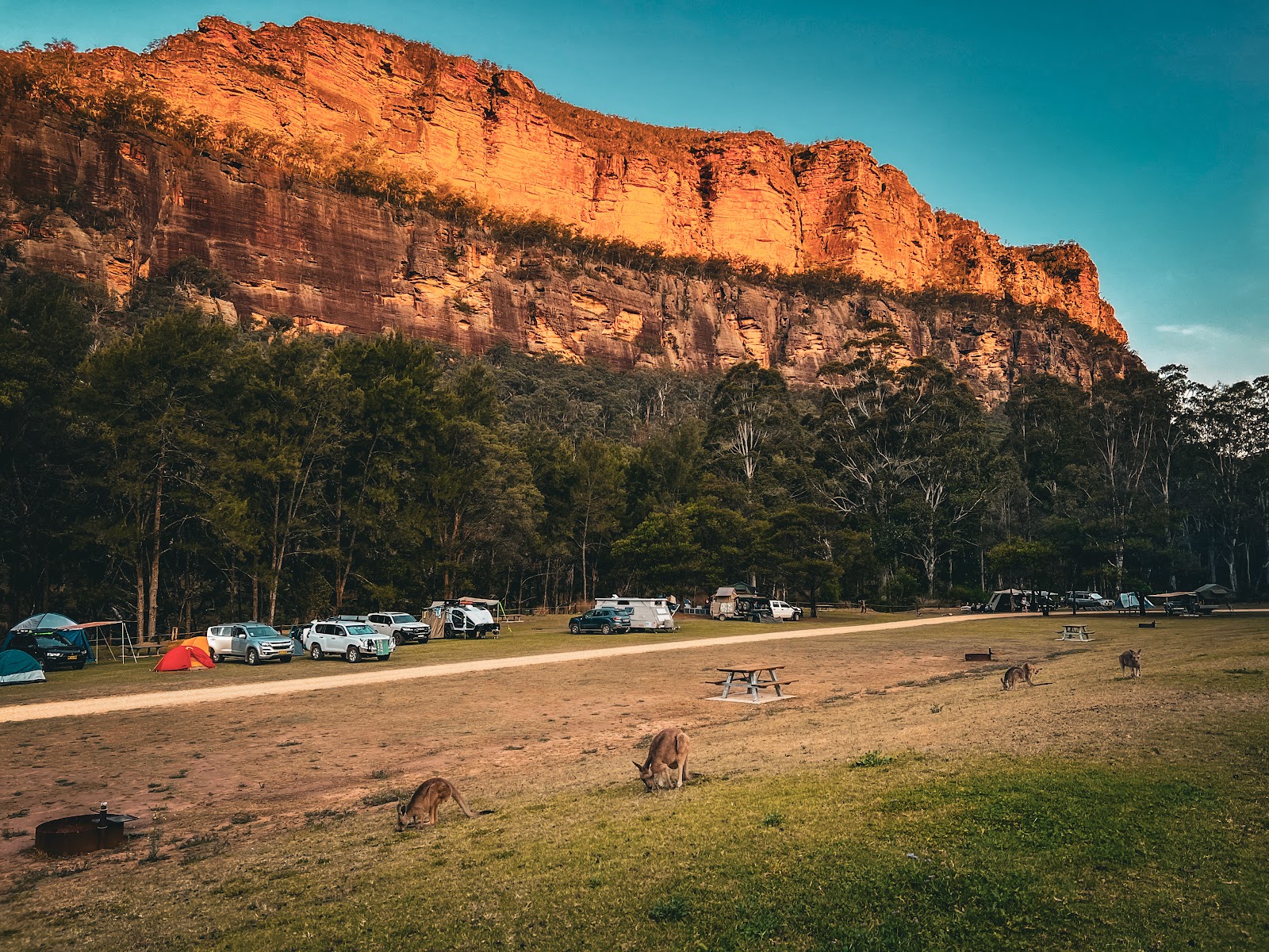 Coorongooba Campground 3
