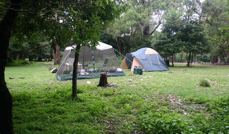 Bittangabee campground 3