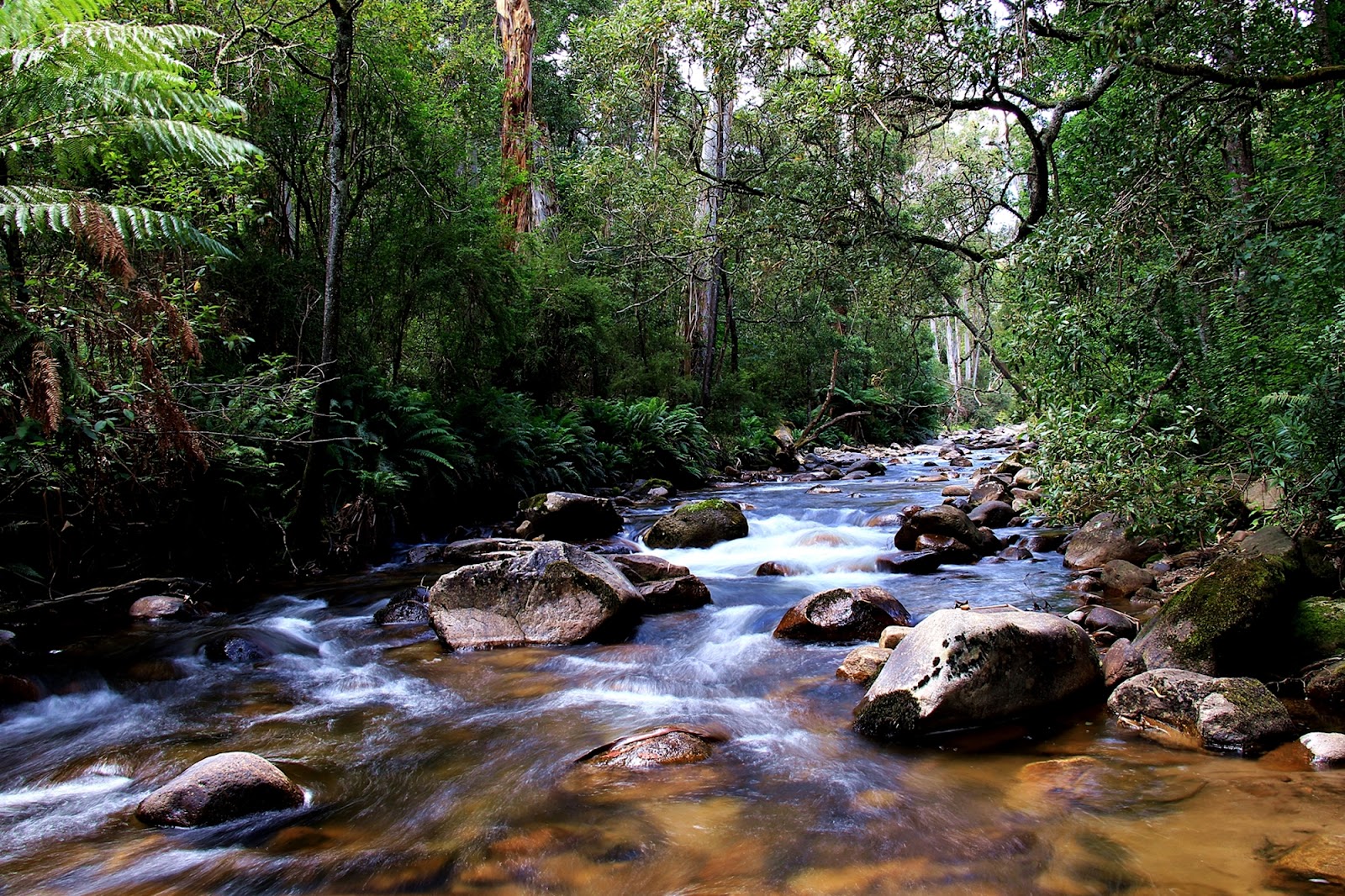 Mirimbah Park 3