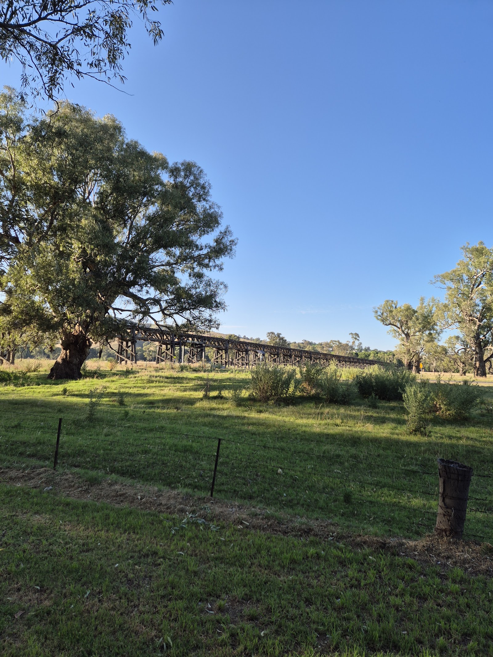 Morleys Creek 5