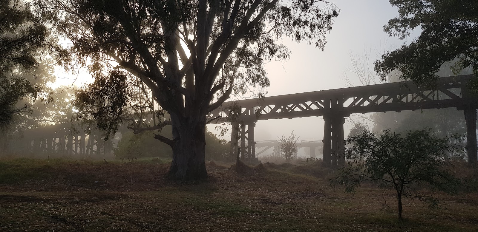 Morleys Creek 12