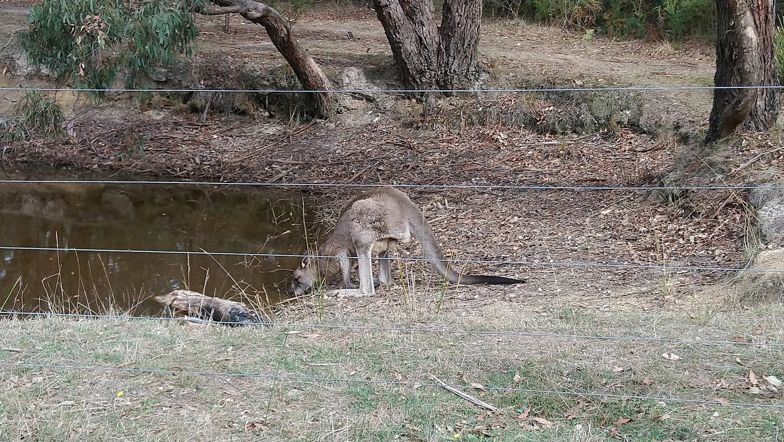 Hammonds Road Campground 3