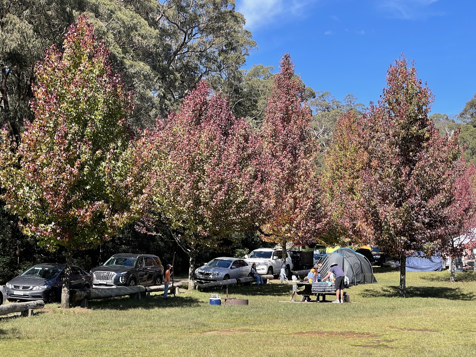 Cathedral Reserve Camping Ground 2