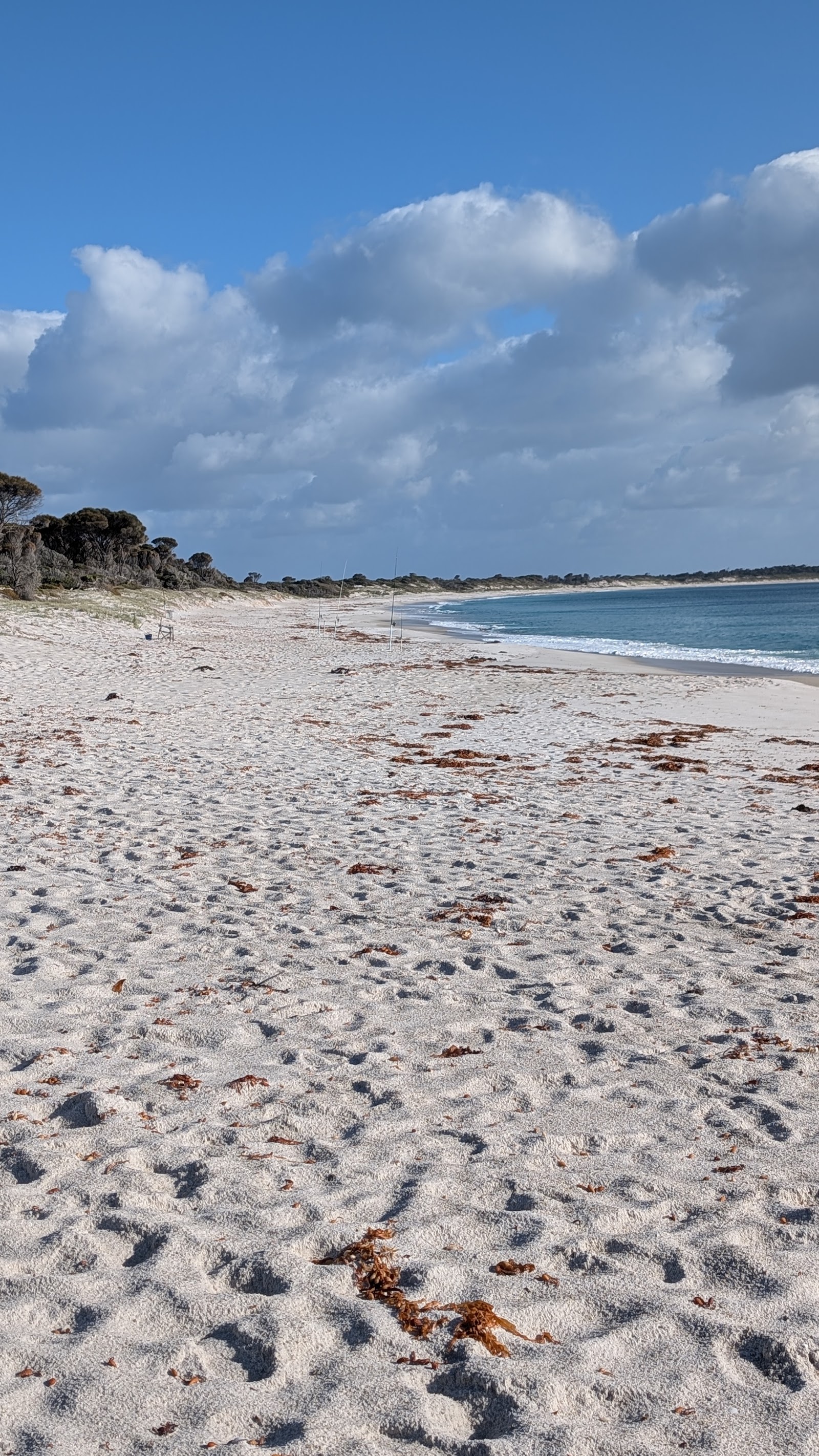 Stumpys Bay Picnic Area 2