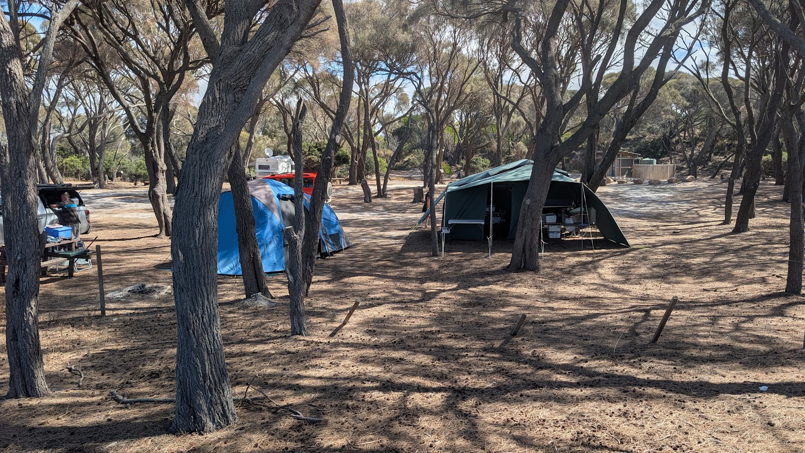 Stumpys Bay Picnic Area 3