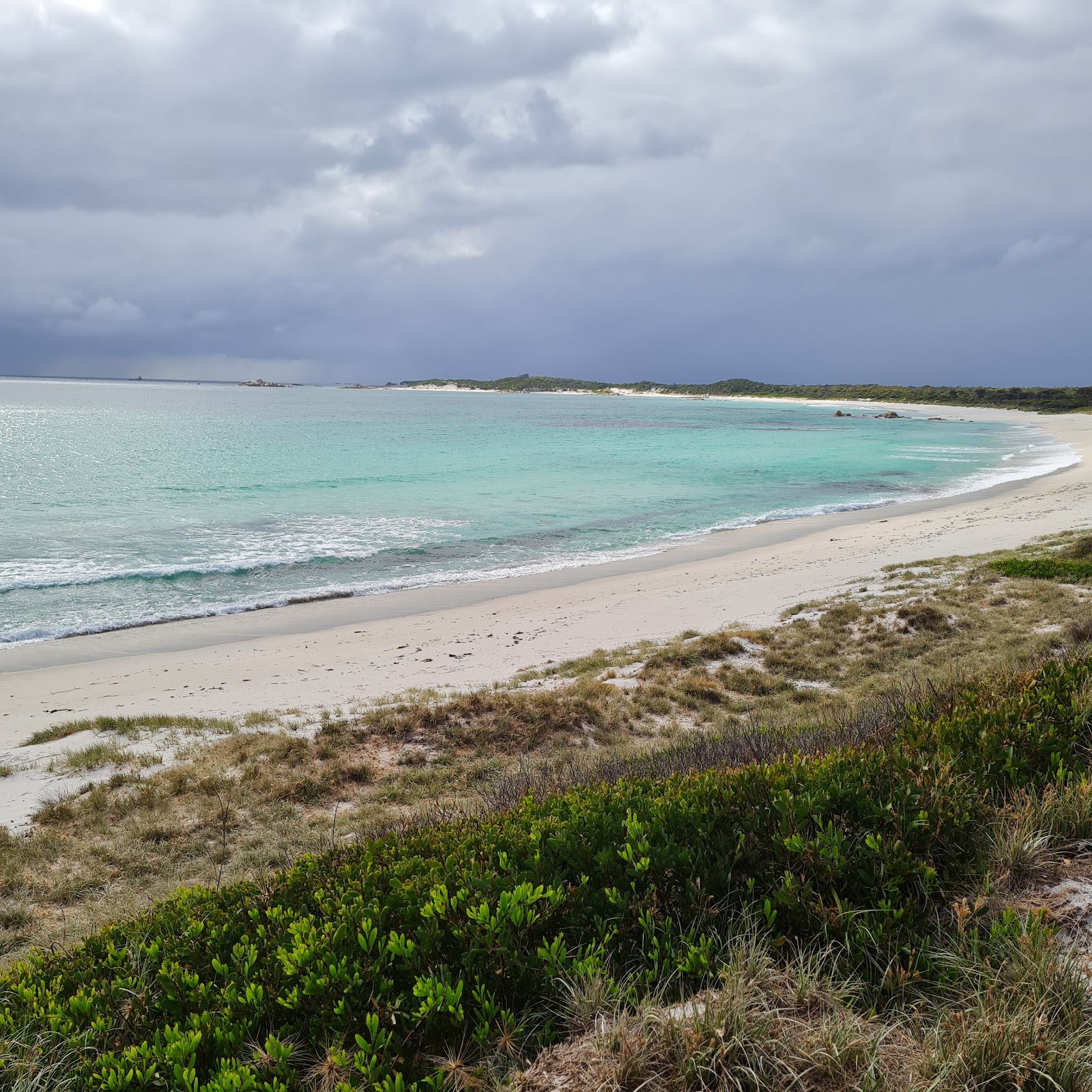 Stumpys Bay Picnic Area 4