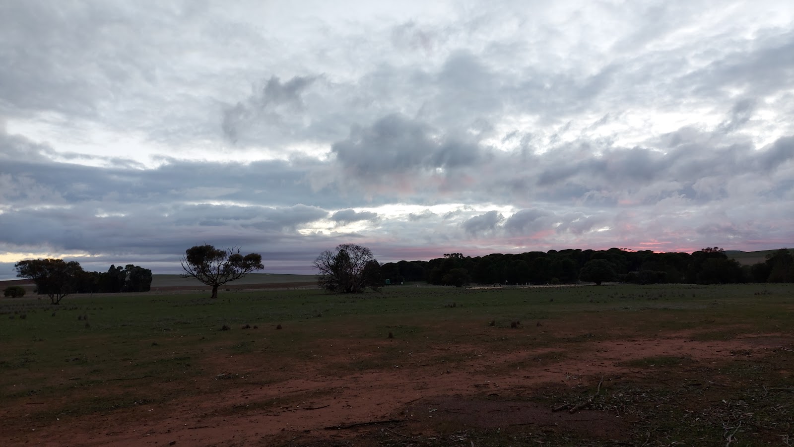 Hallett Oval 2