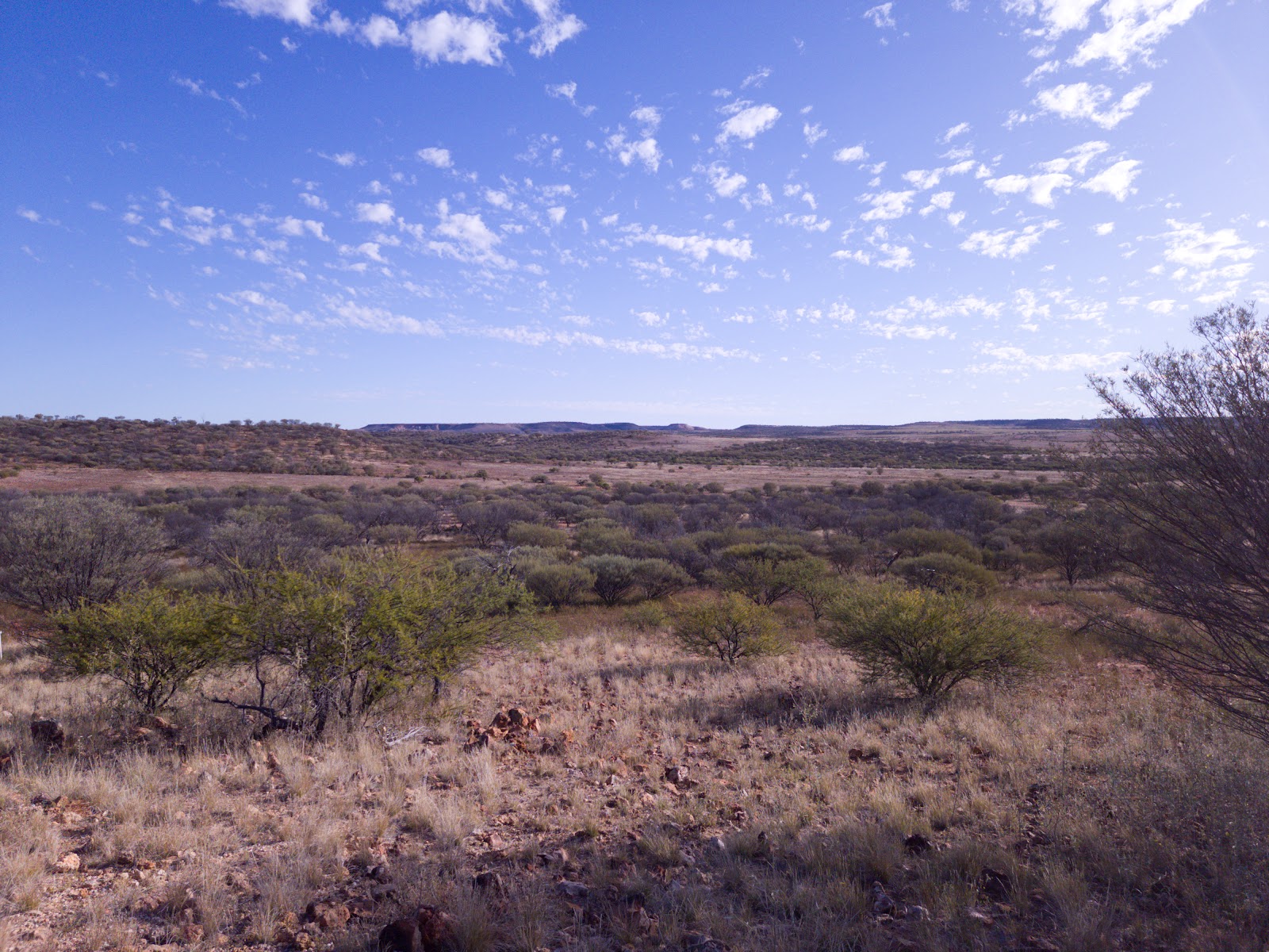 Olive Downs Campground 2