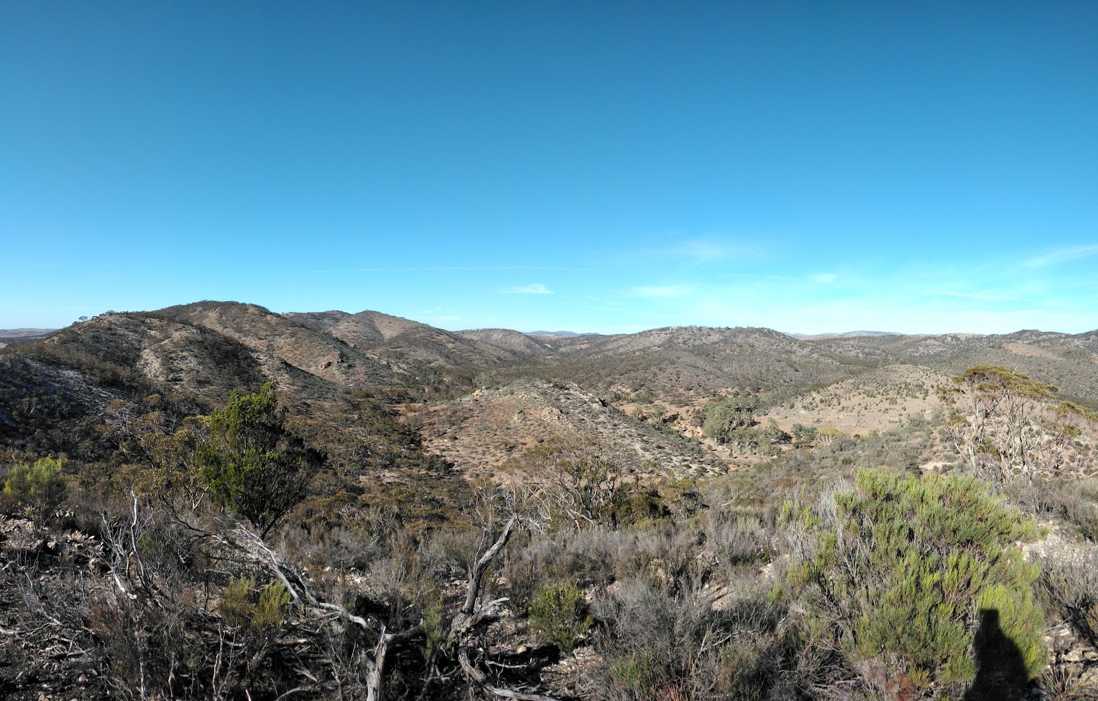 Burra Creek Gorge - Worlds End Reserve (Mid) 7