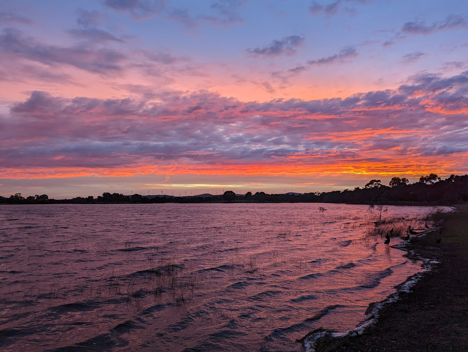 Green Hill Lake Reserve 3
