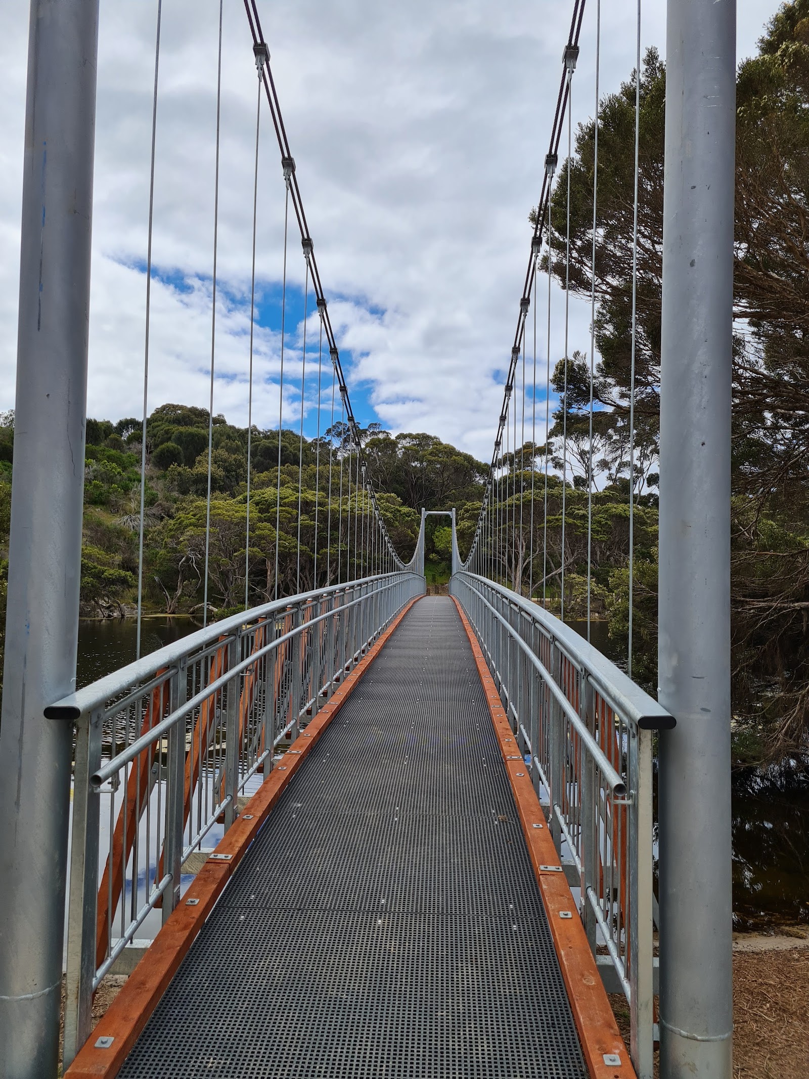 Chapman River Campground 3