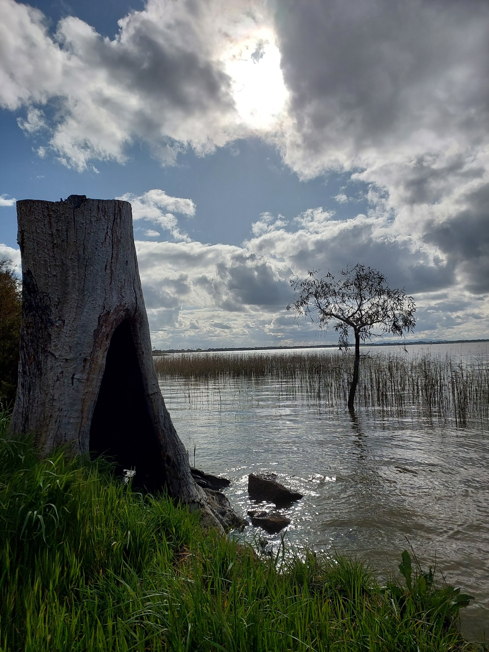 Lake Burrumbeet 5