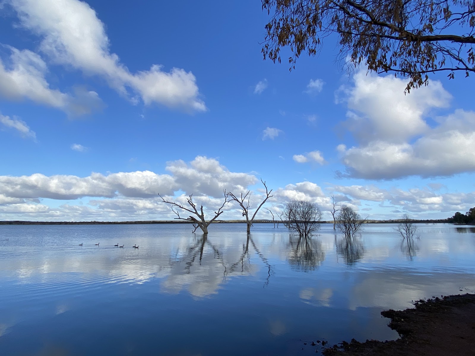 Lake Wyangan 2