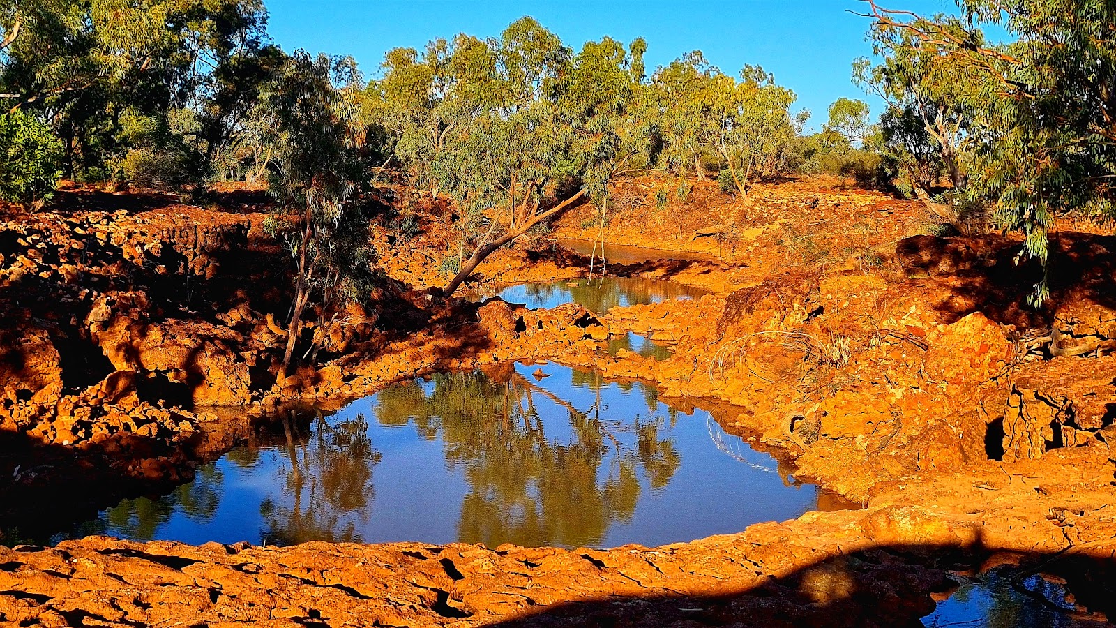 Mayne River free campsite 2