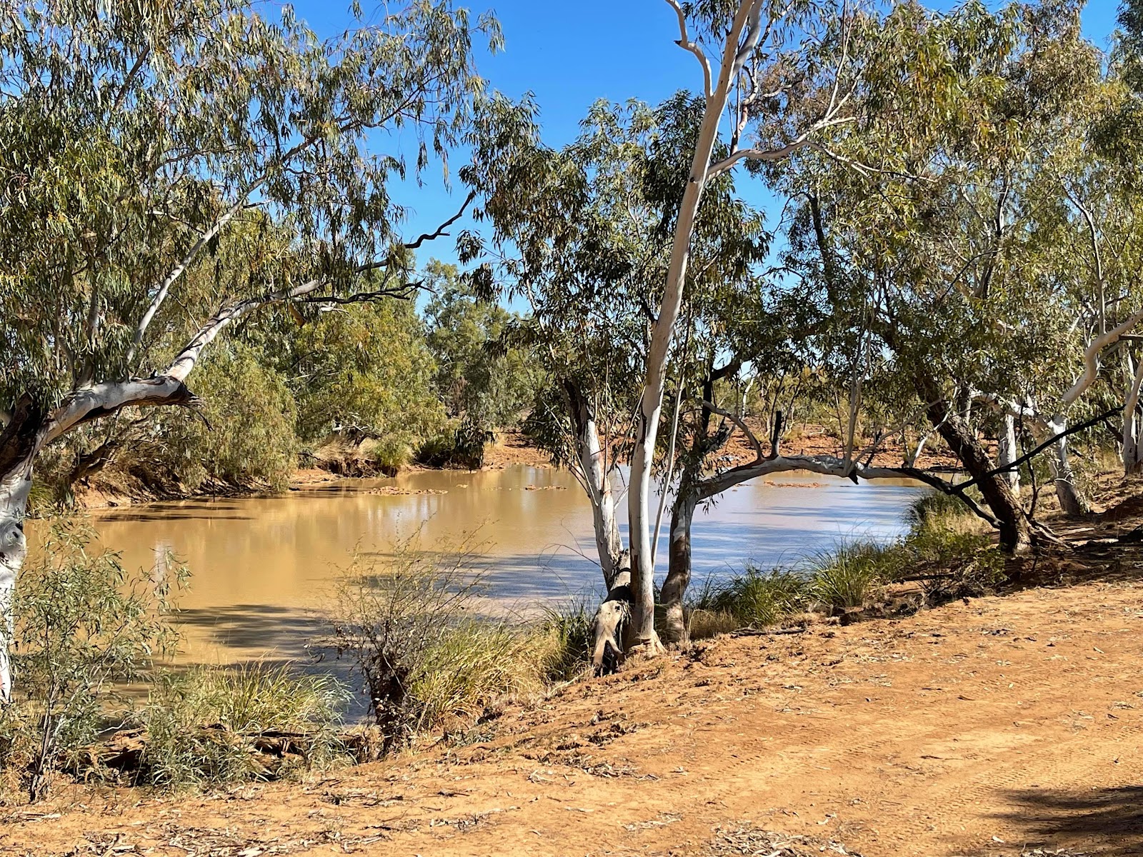 Mayne River free campsite 3