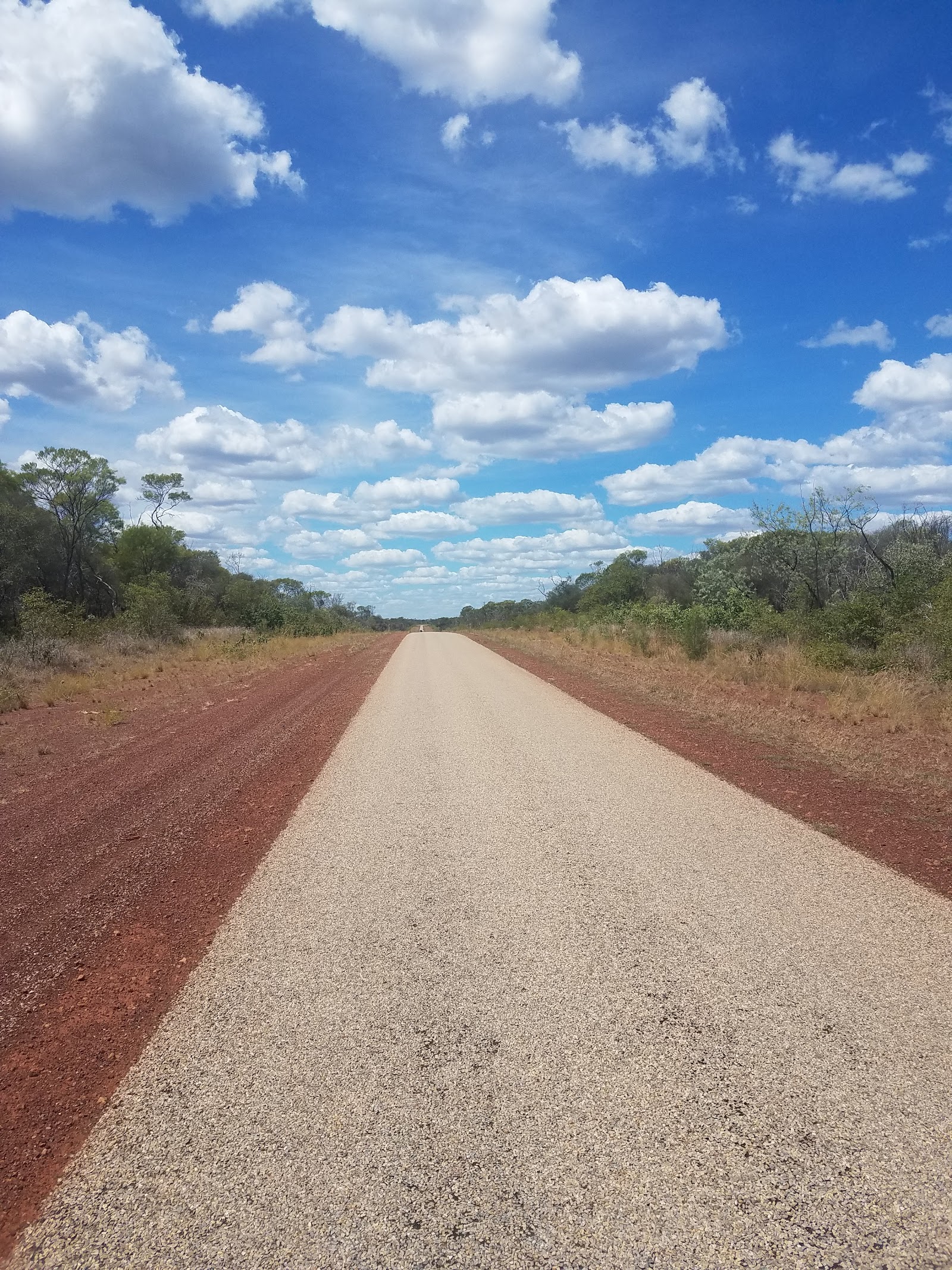 Bullwaddy Conservation Reserve 3