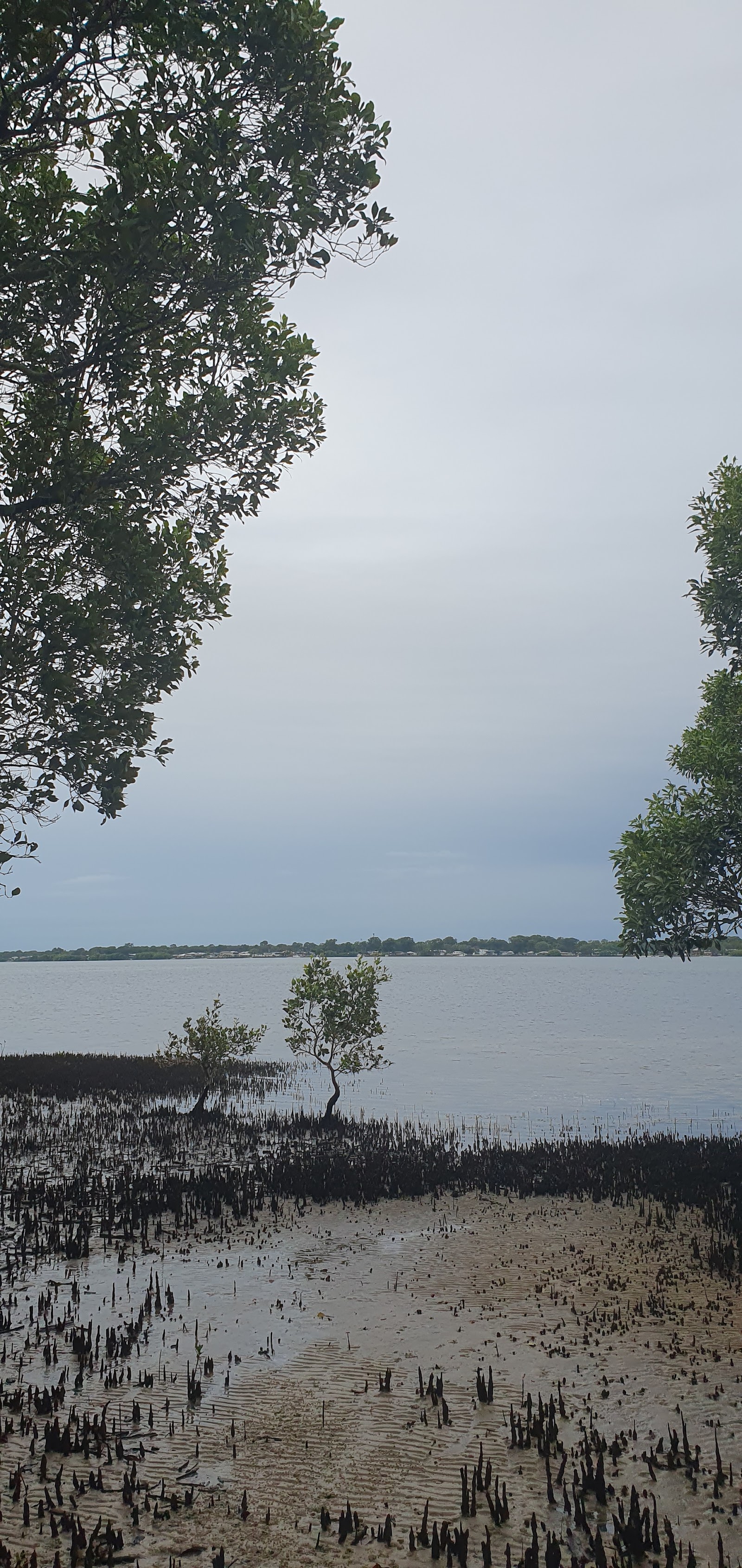 Gallagher Point Camping Area 2
