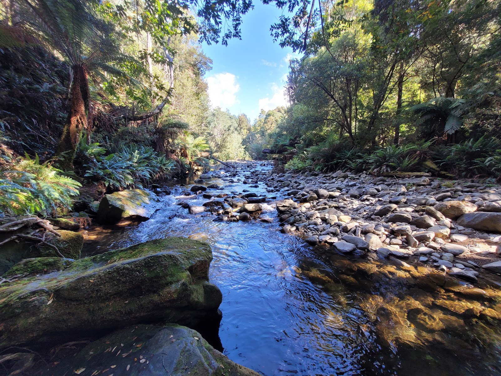 Liffey Falls 3