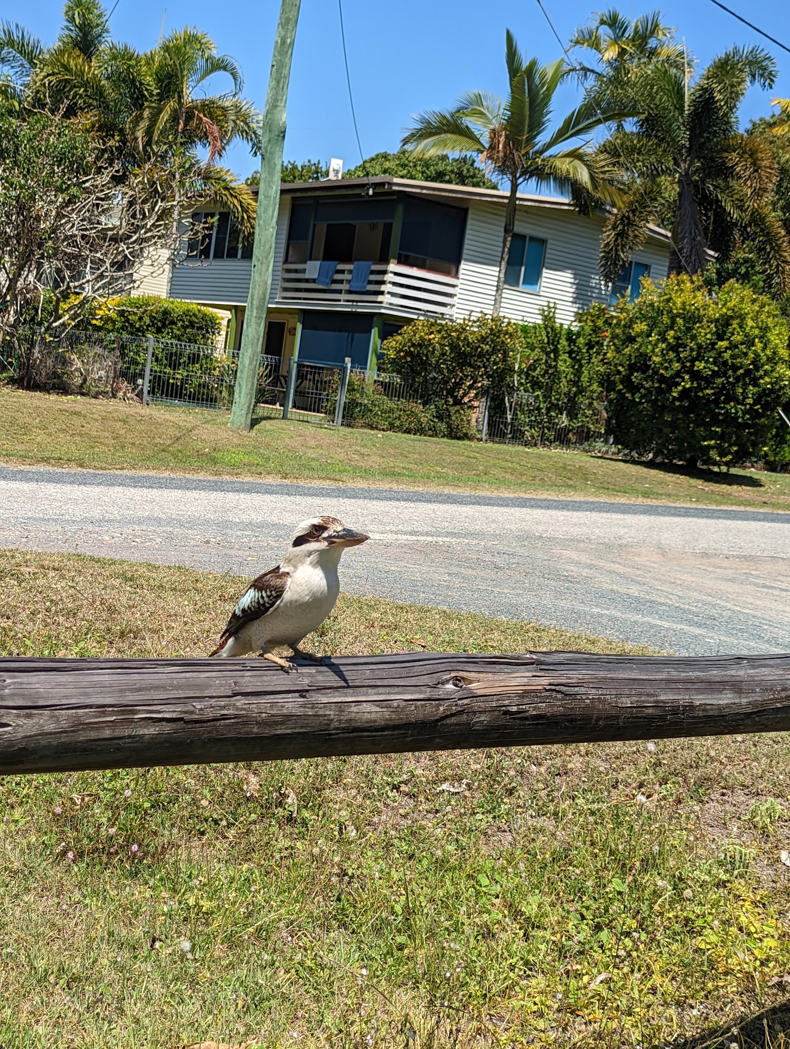 Ball Bay Campground 2