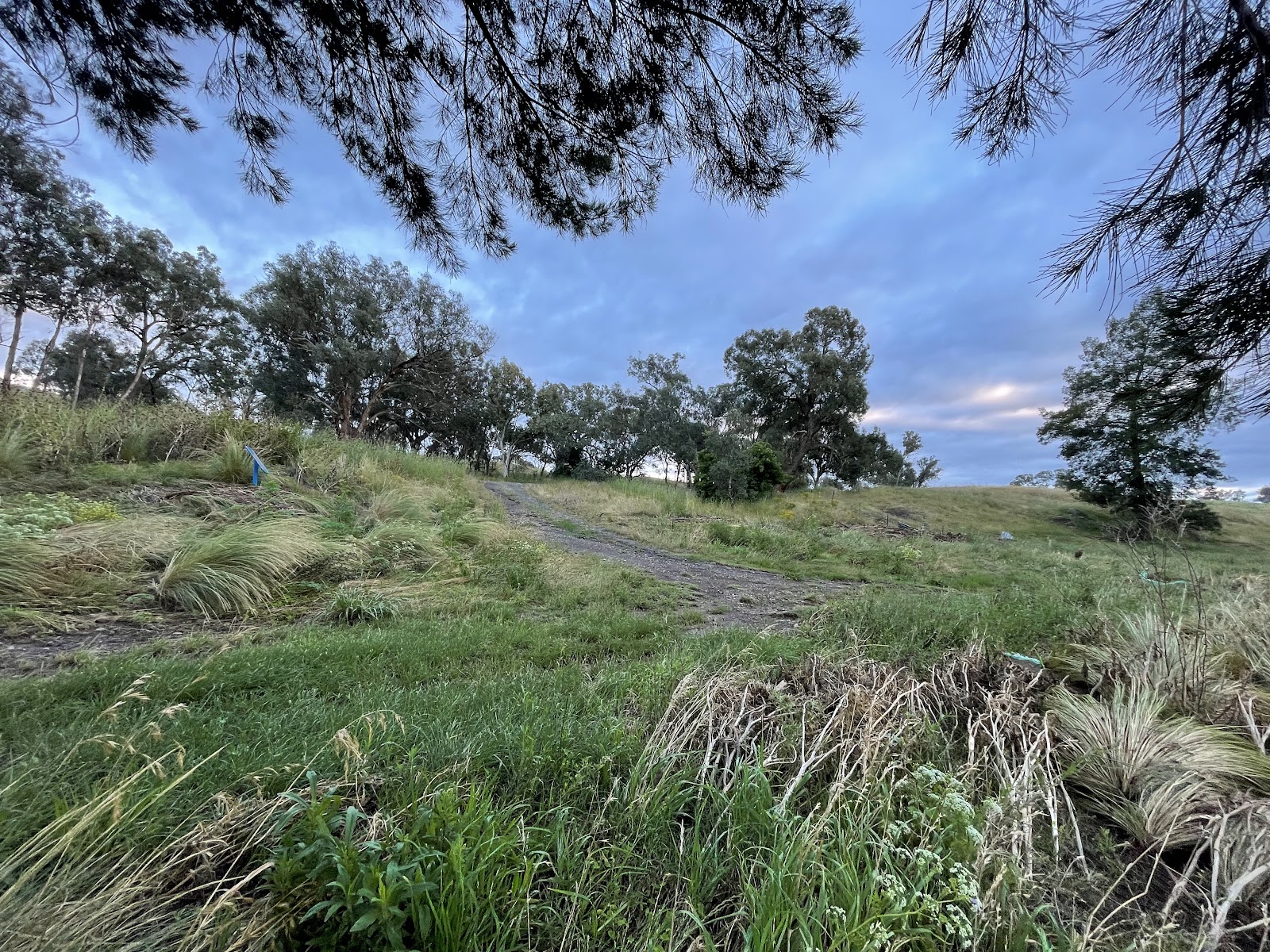 Larras Lee Rest Area 3
