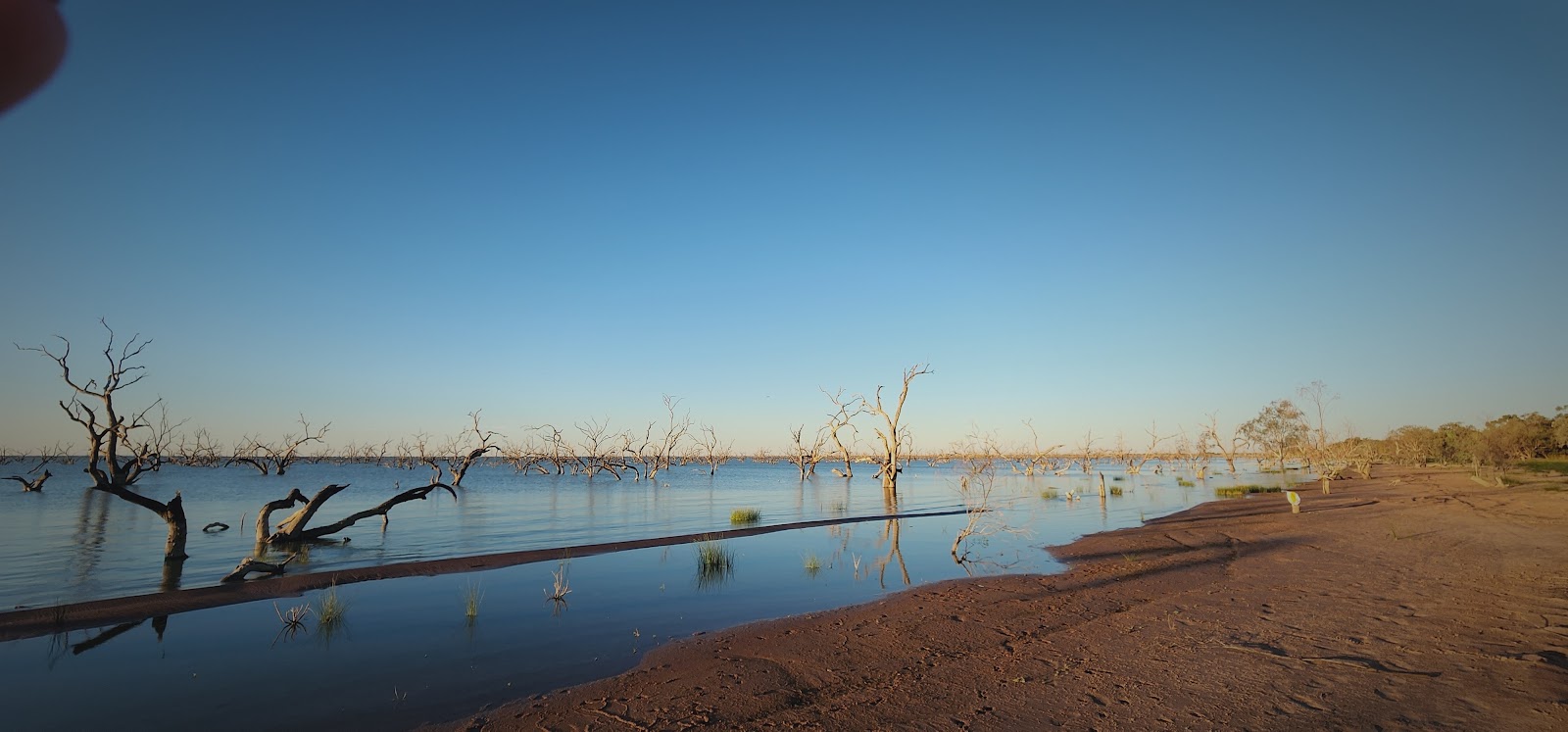 Wanganella Weir 5