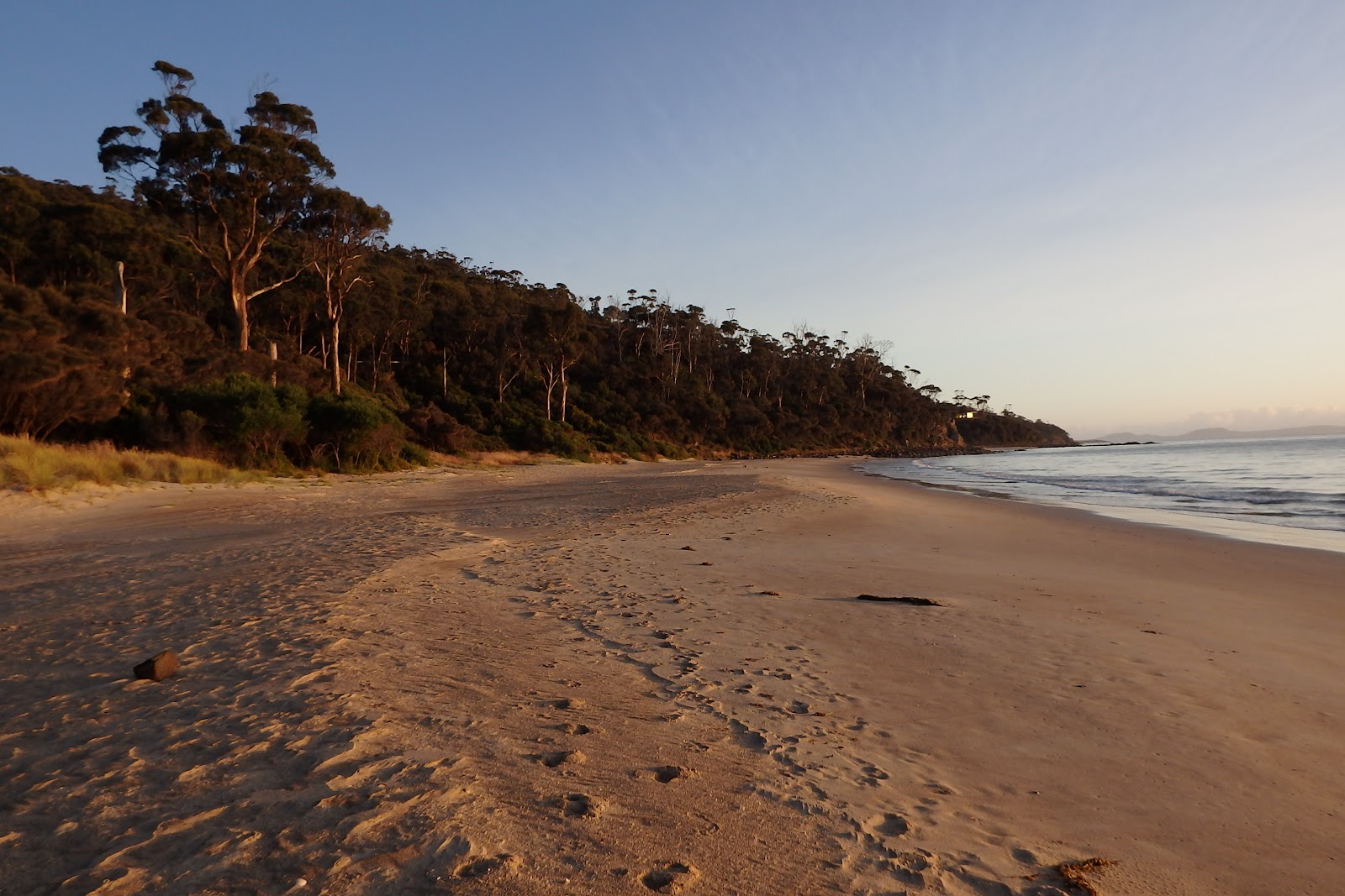 Mayfield Bay Conservation/Camping Area 2