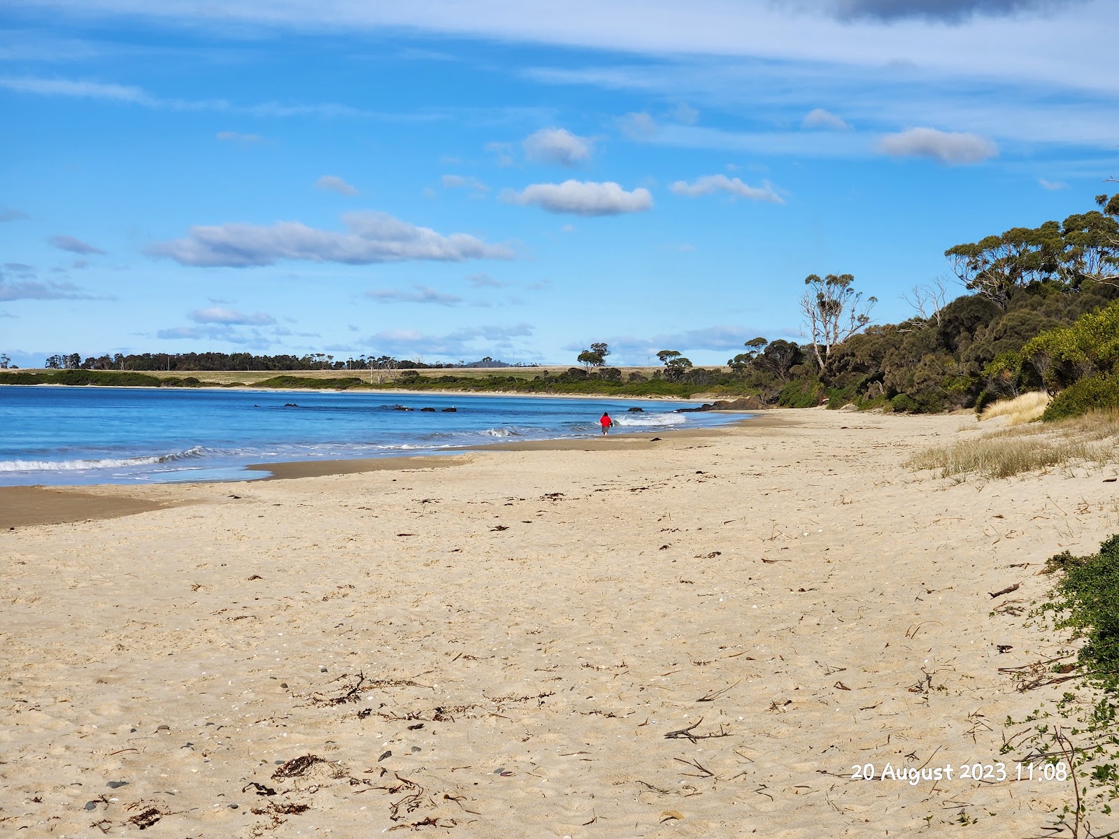 Mayfield Bay Conservation/Camping Area 3