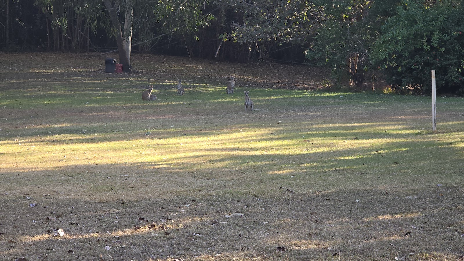 Community Church Campground 3
