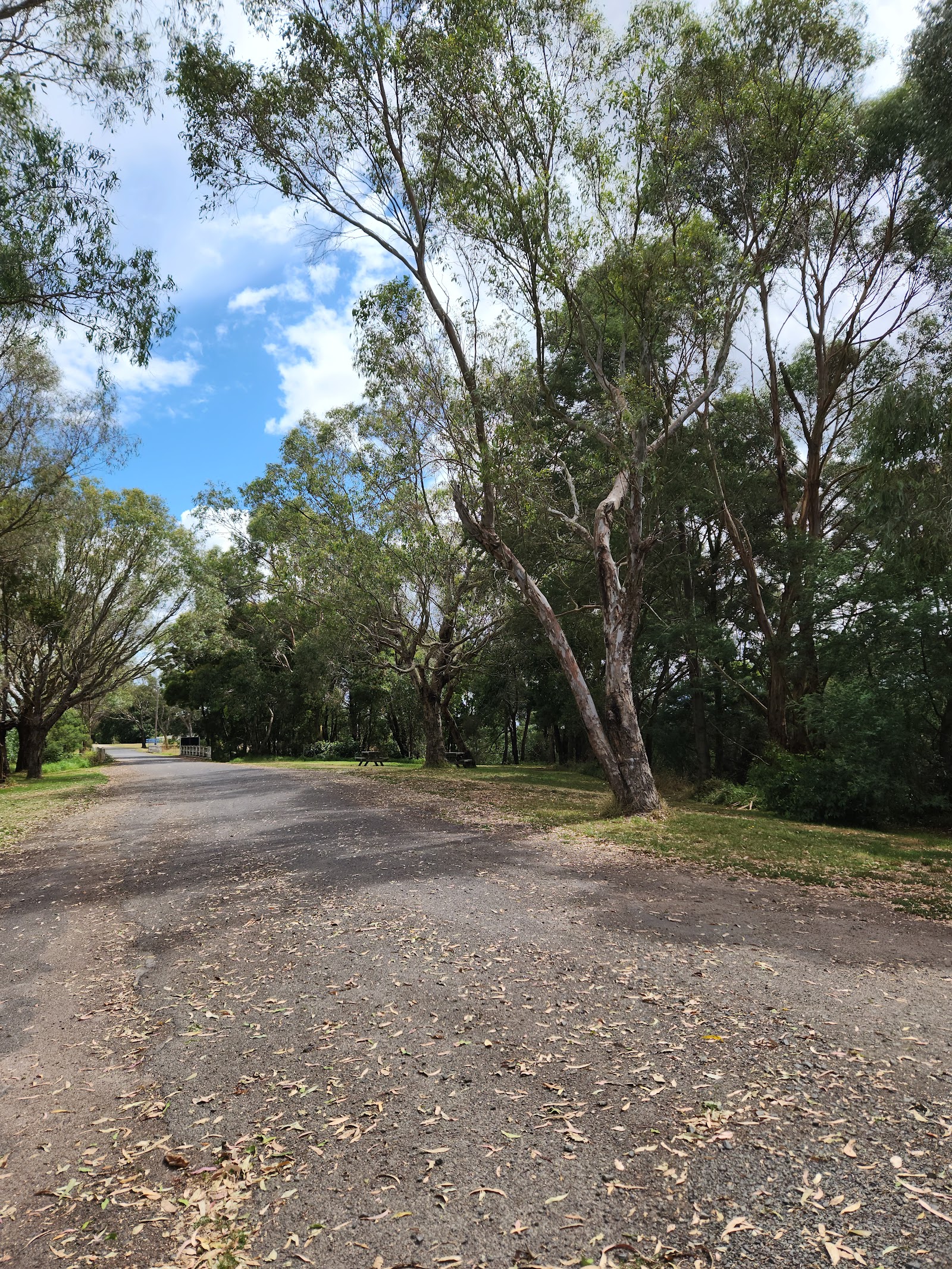 RV only Tarra River, Free Camp, Yarram 2