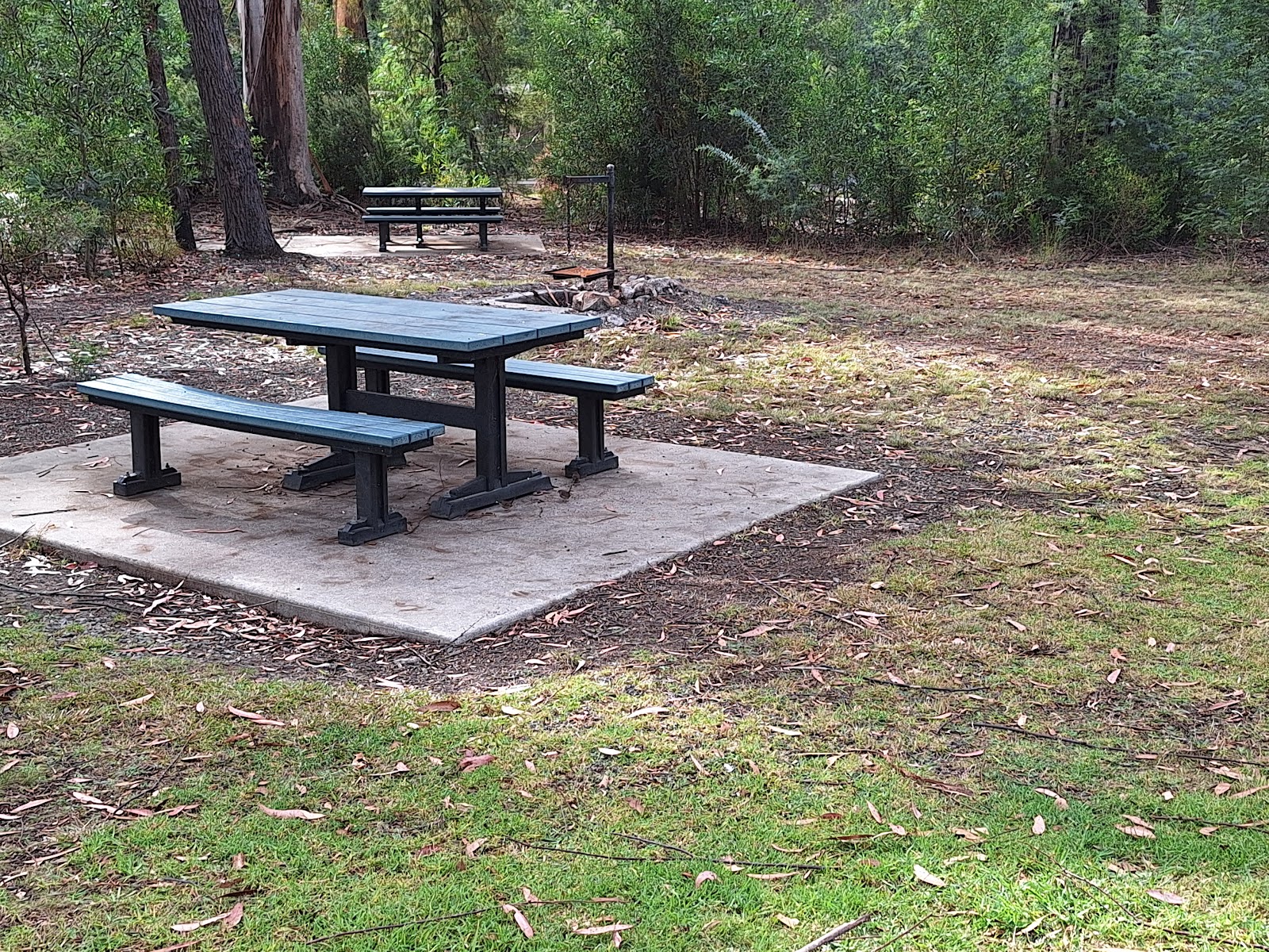 Murrungowar Picnic Ground 2