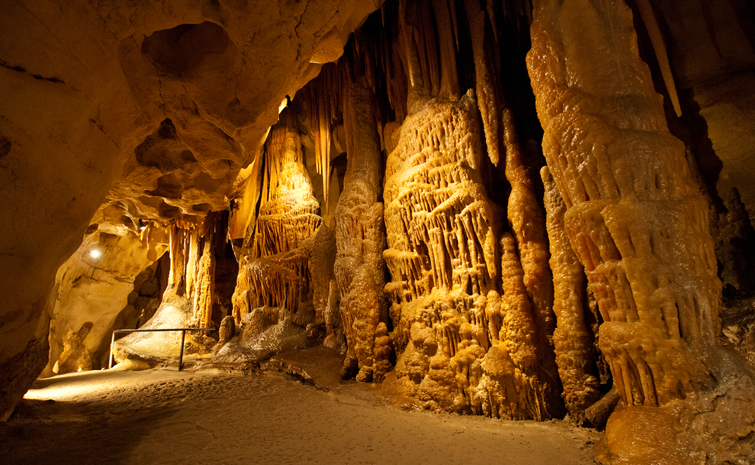 Princess Margaret Rose Caves - Lower Glenelg NP 2