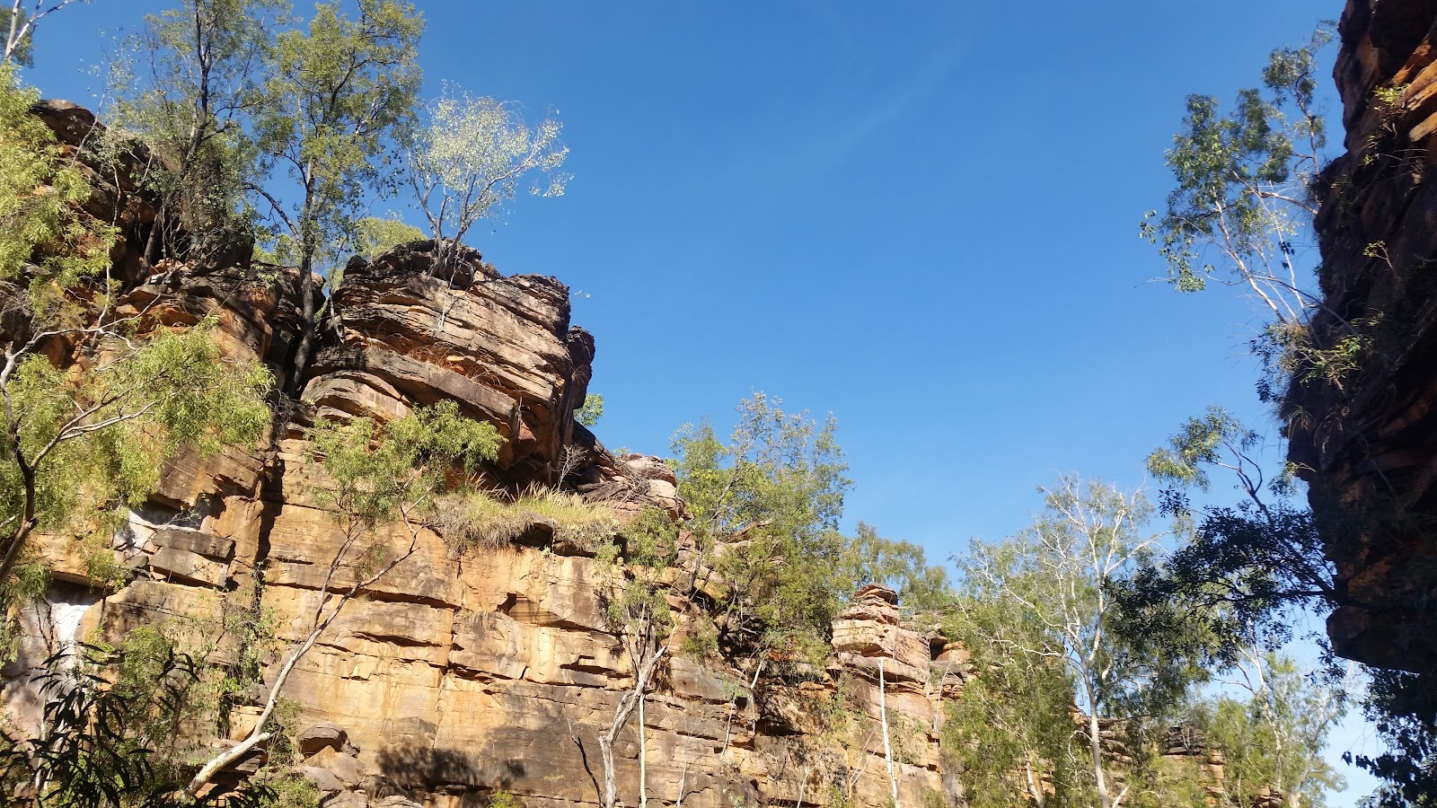 Umbrawarra Gorge Nature Park 3