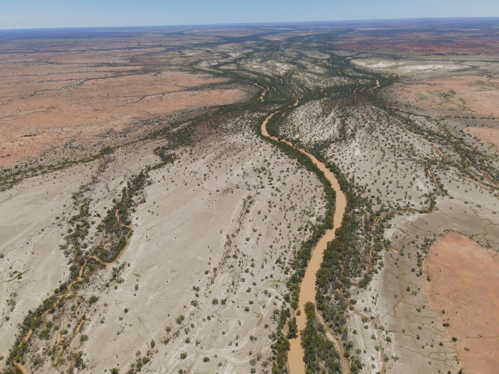 Georgina River 2