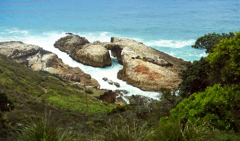 Crowdy Bay National Park 2
