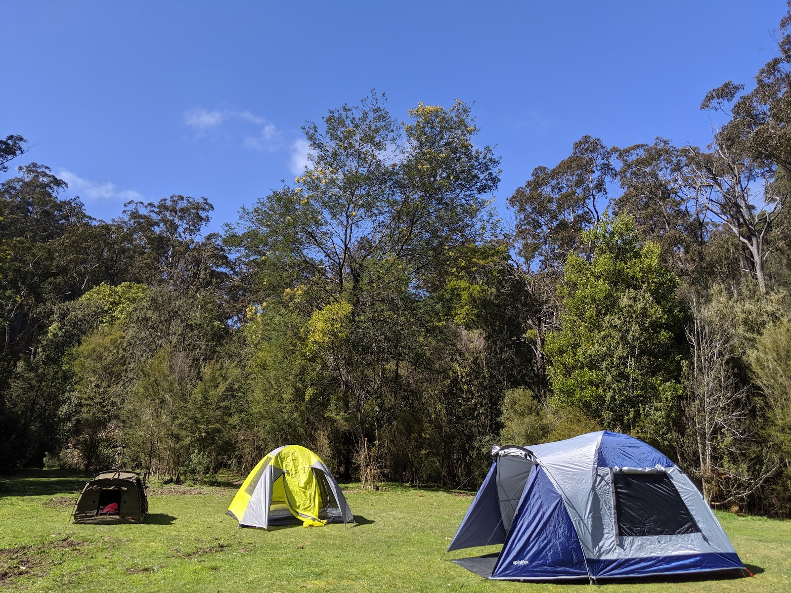 Seninis Campground - Moondarra State Park 2