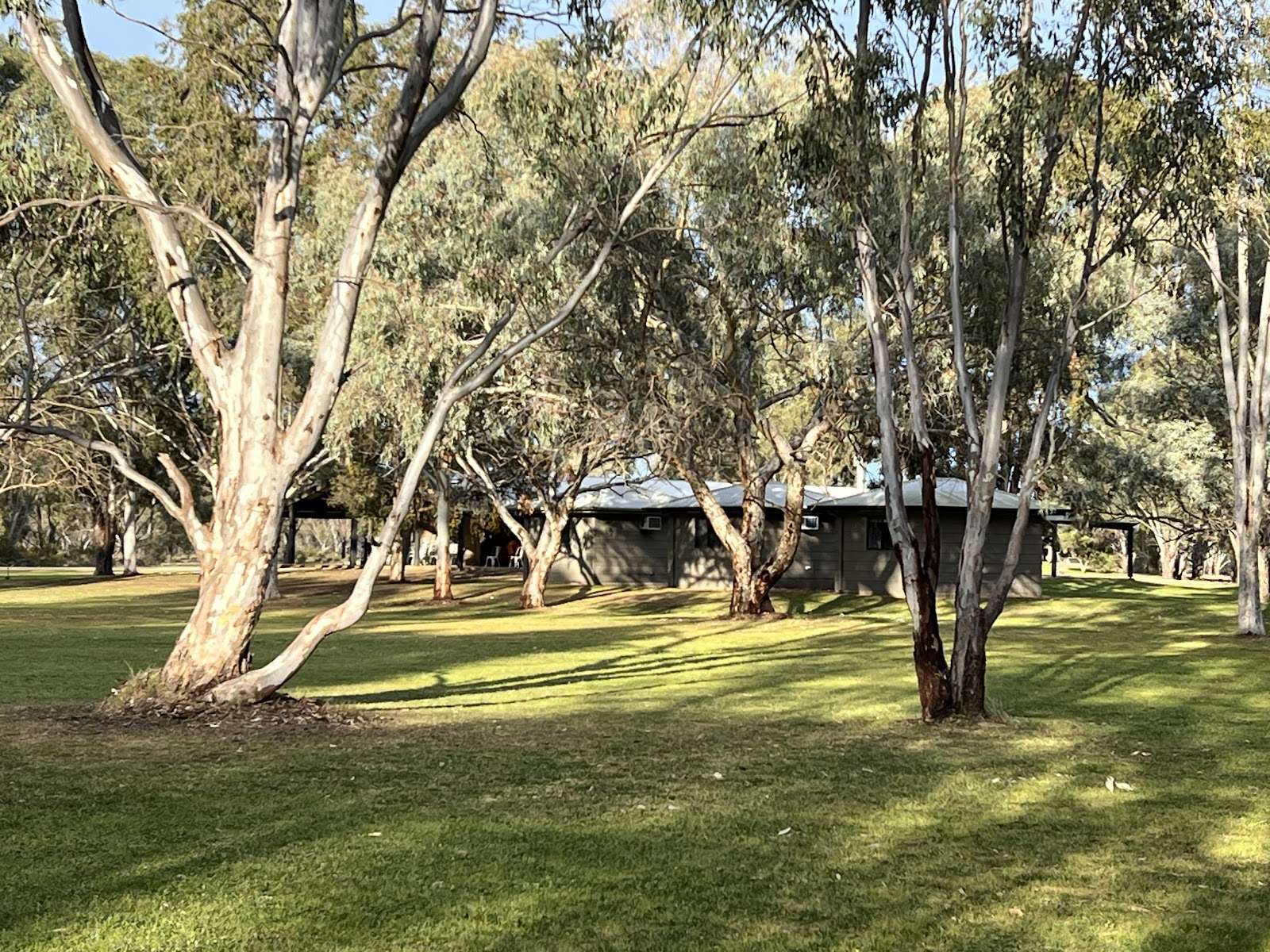The Paddock at Ulupna 6