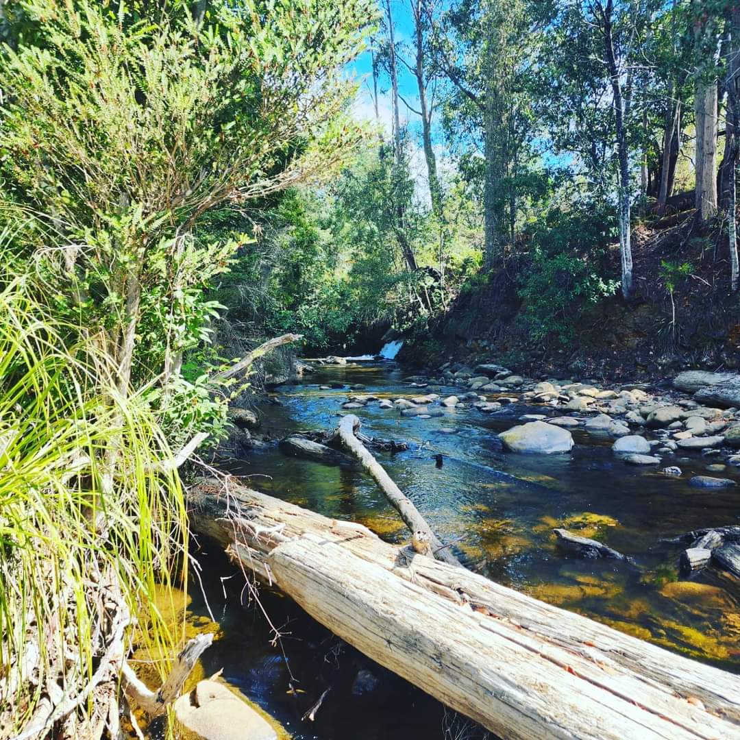 Rivers Edge Wilderness Camping 2