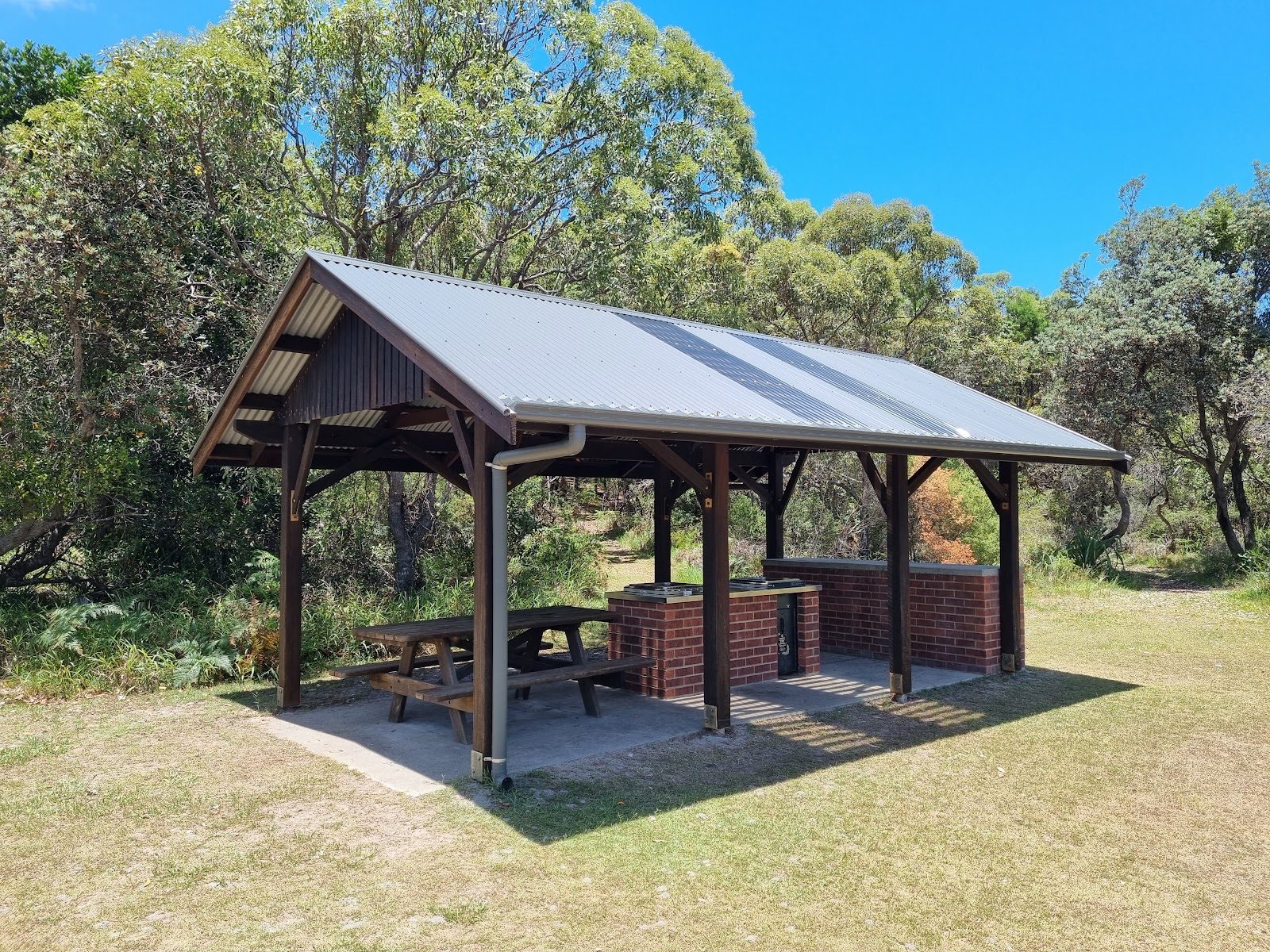 Illaroo campground 5