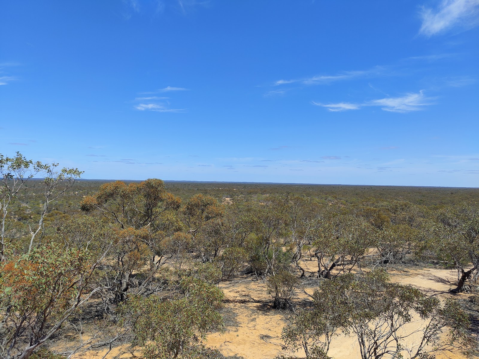 Hattah - Kulkyne National Park 2
