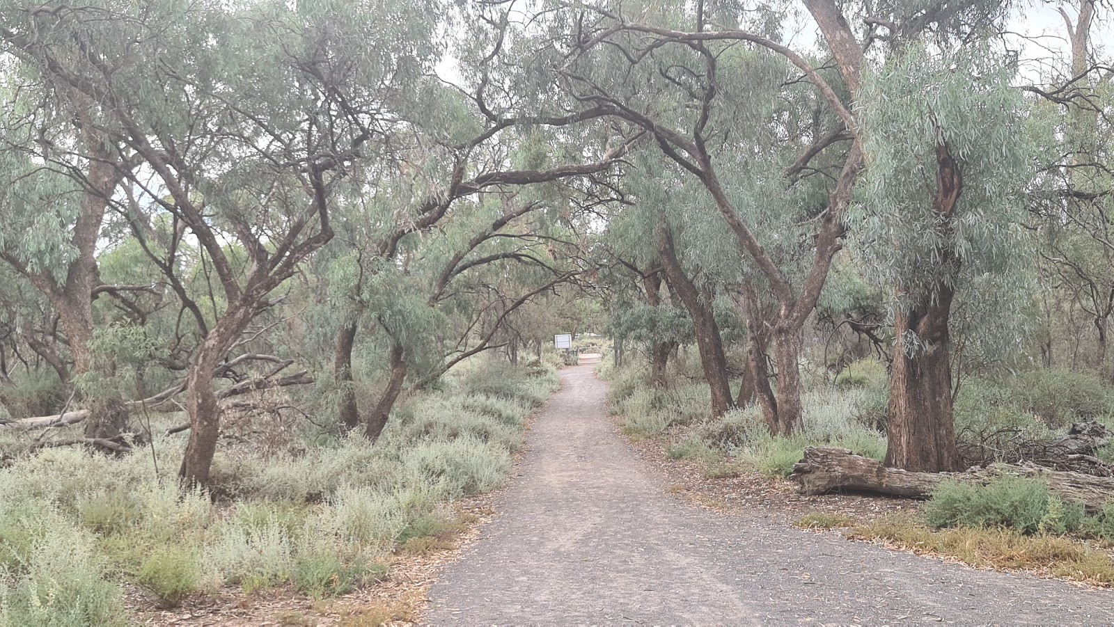 Merbein Lookout 4