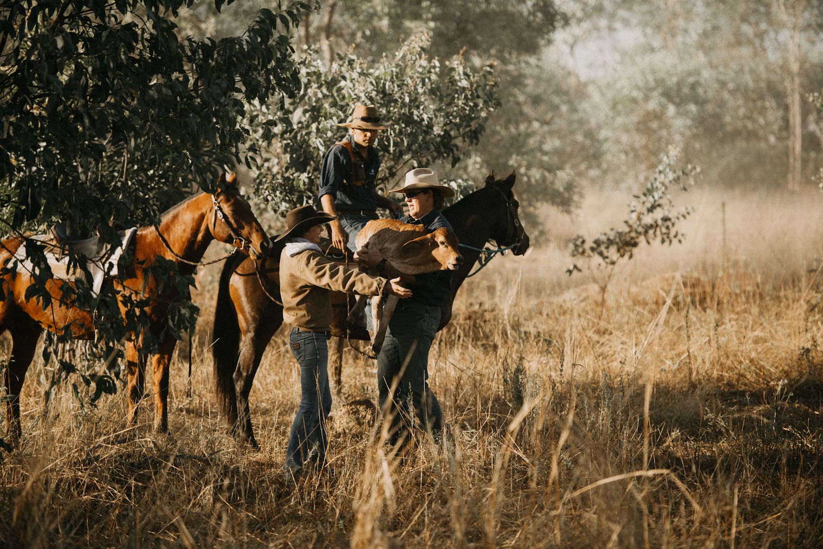 Bullo River Station 4
