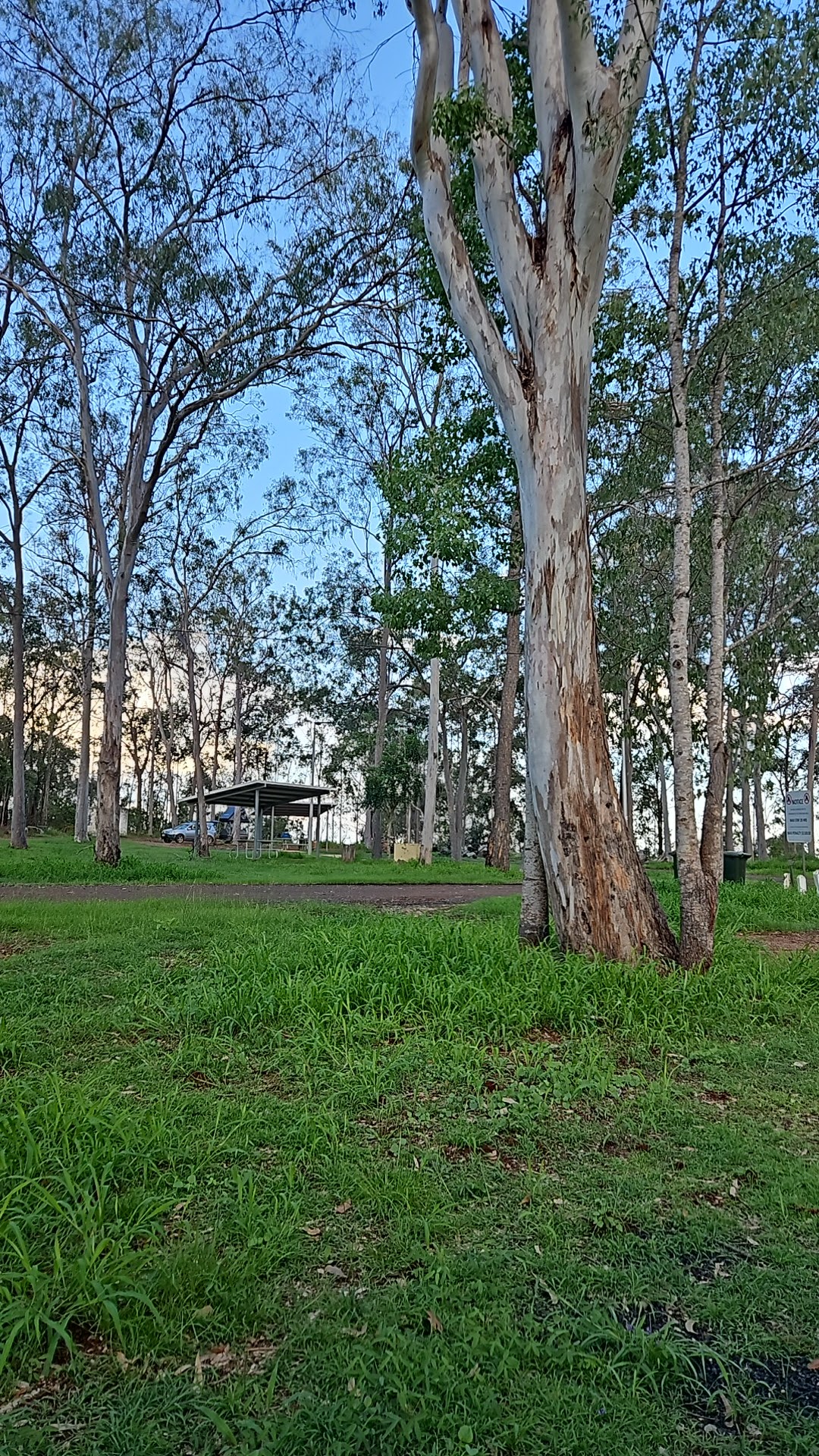 Binjour Range Rest Area 2