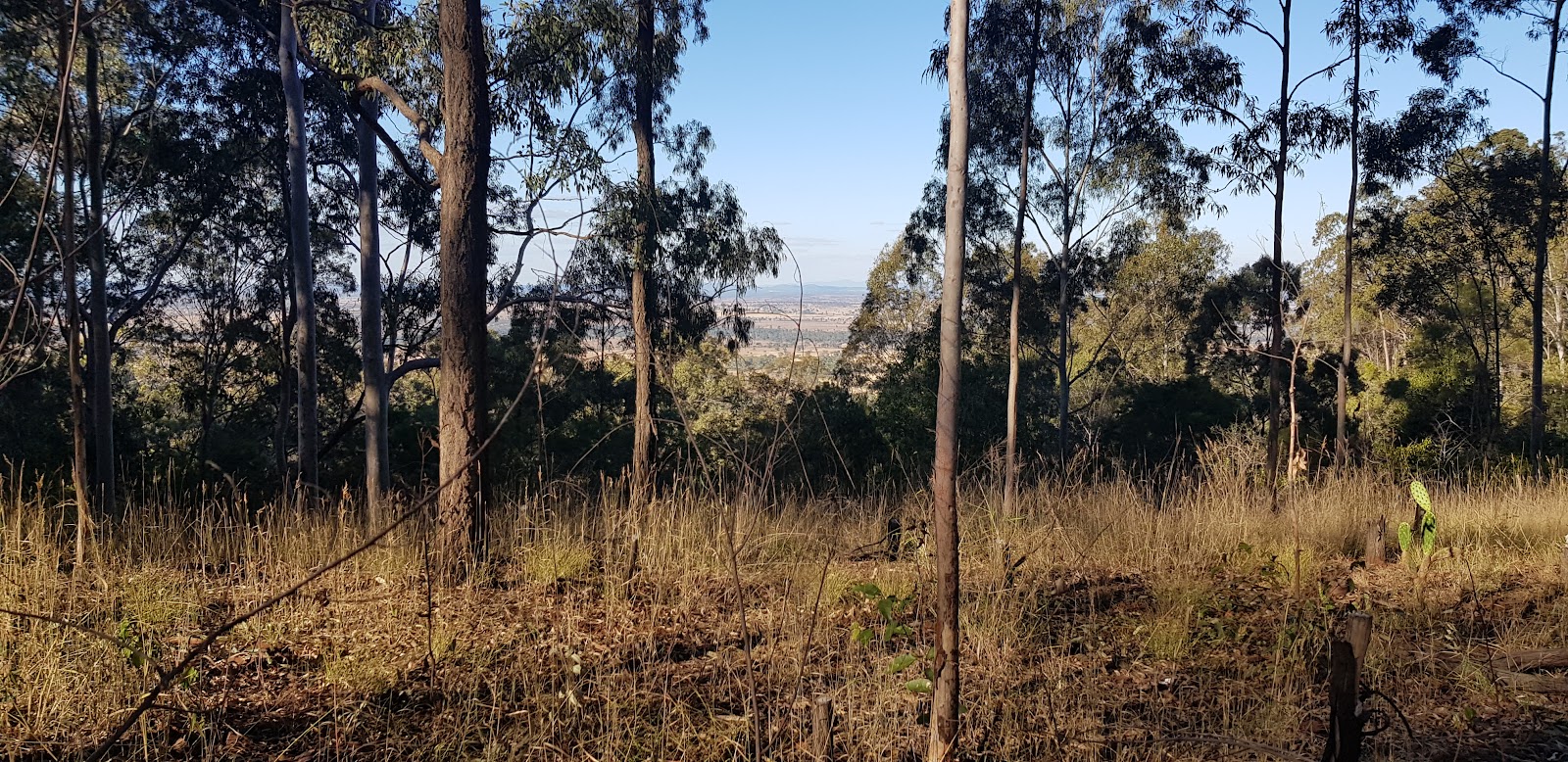 Binjour Range Rest Area 3