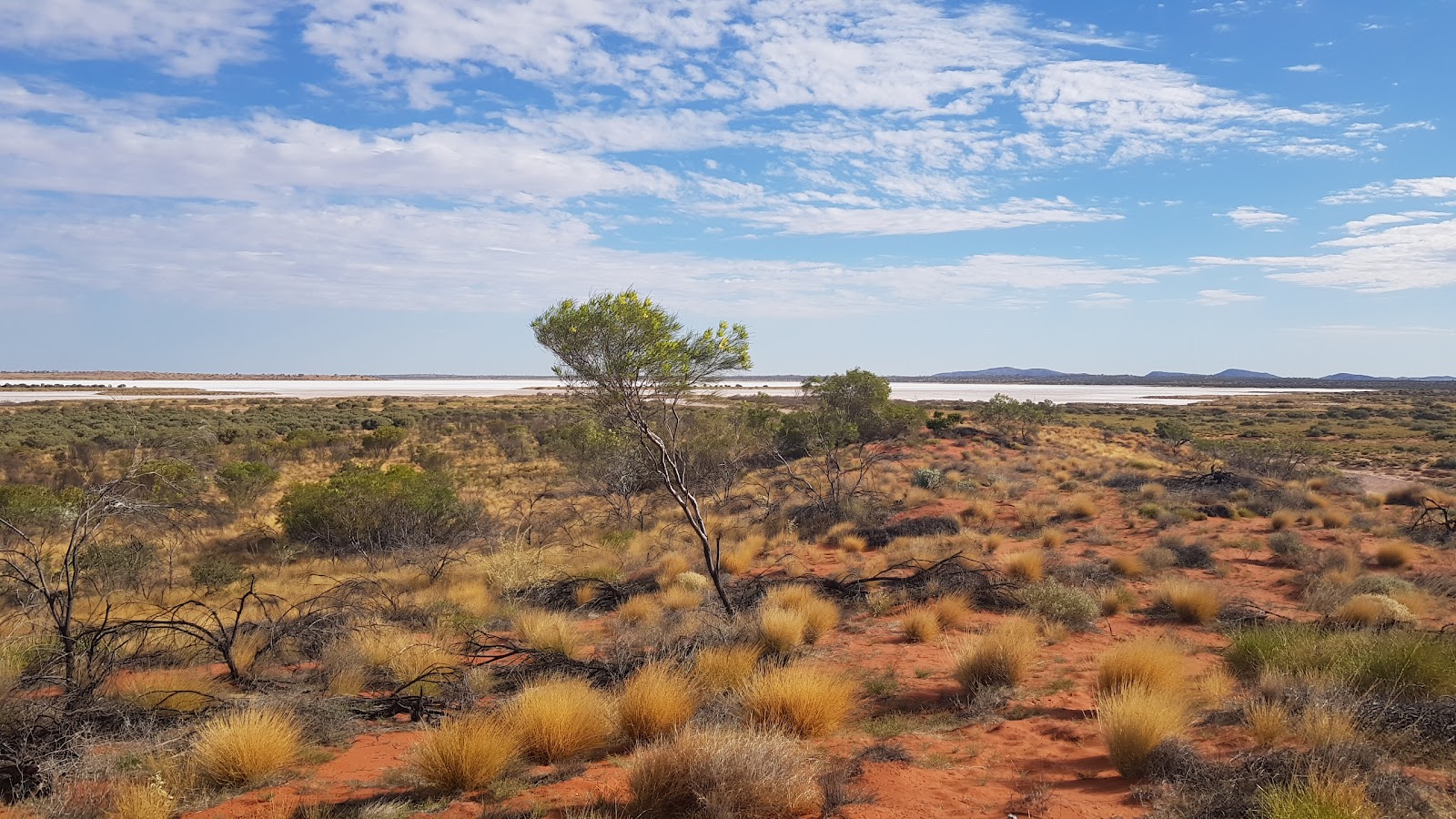 Newhaven Wildlife Sanctuary homestead 2