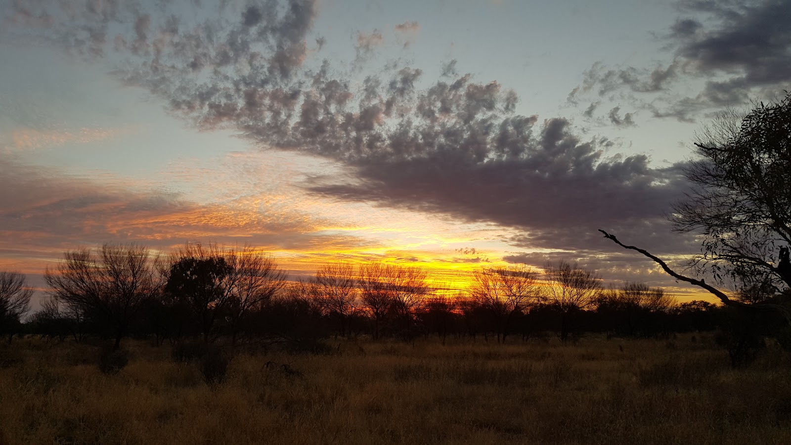 Newhaven Wildlife Sanctuary homestead 3
