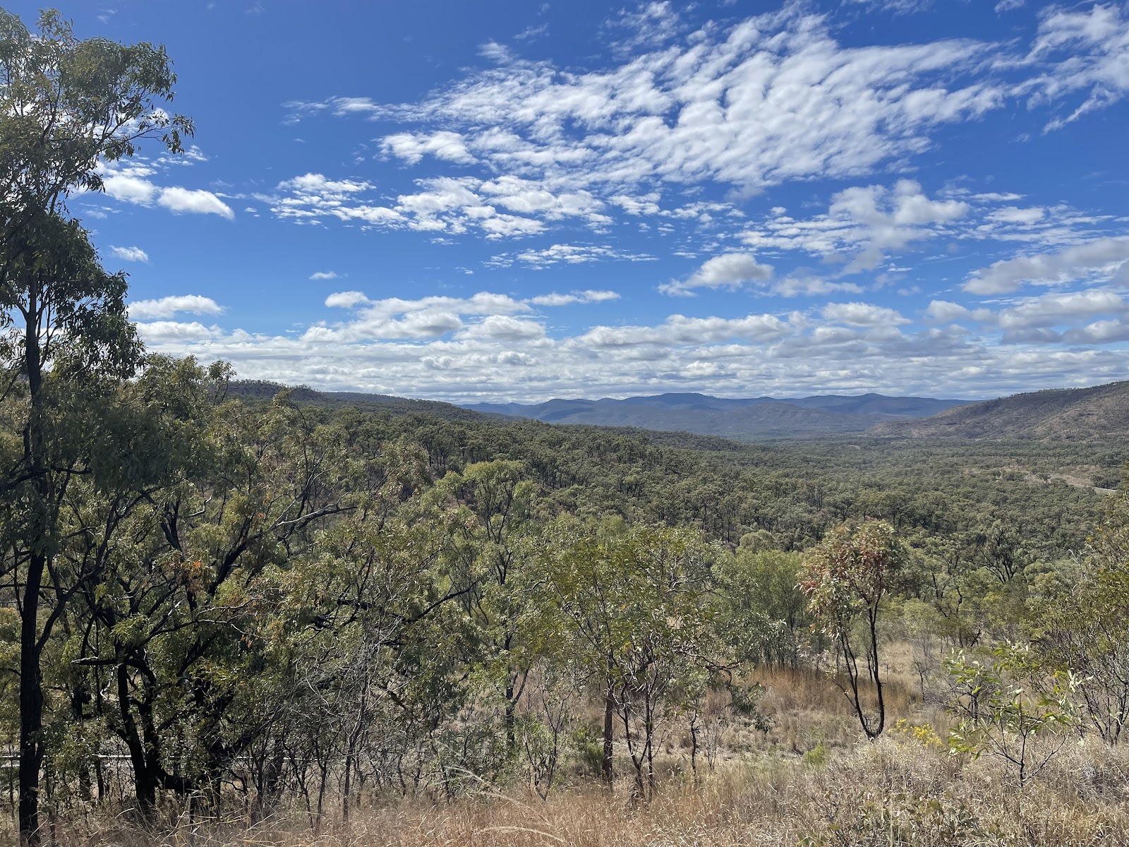 Drummond Range Lookout Rest Area 2