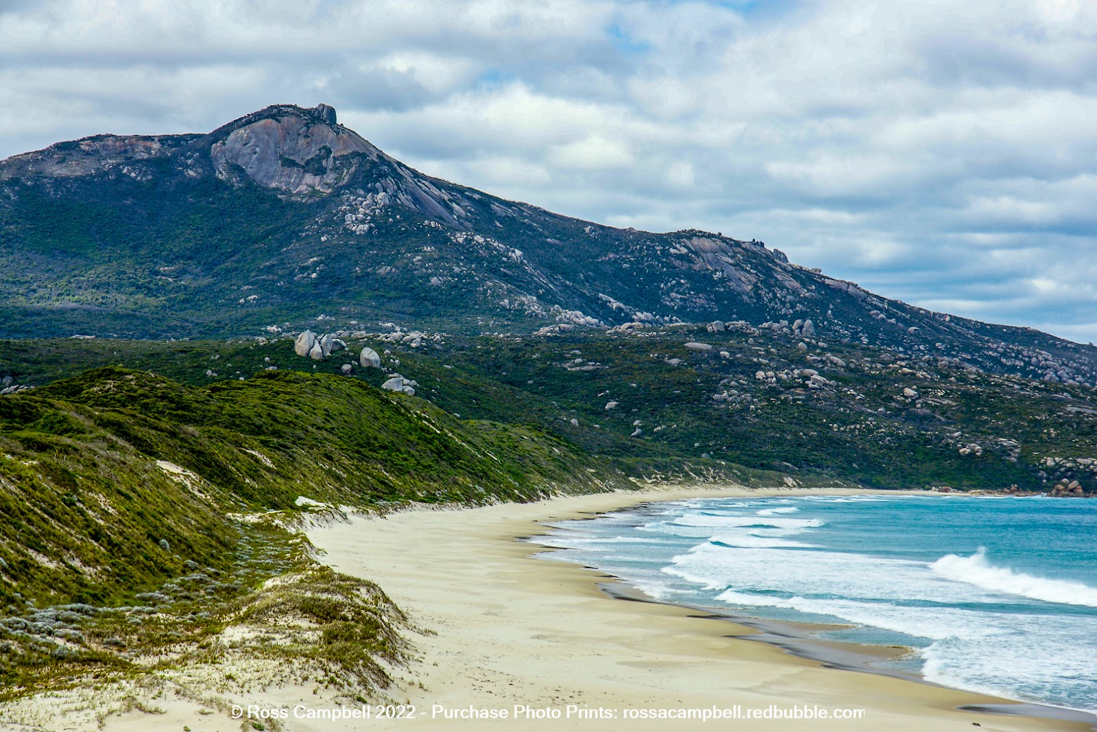 Normans Beach 3